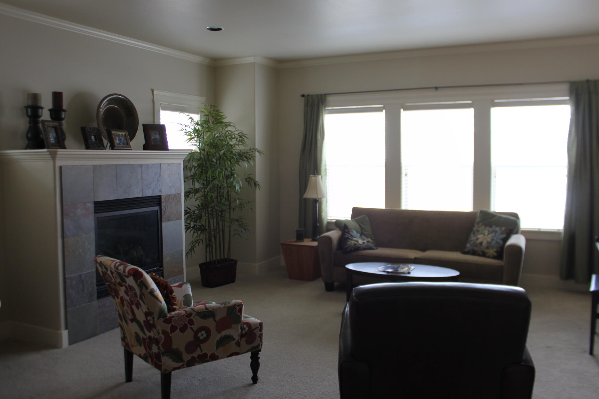 Williamsburg Park - Residential