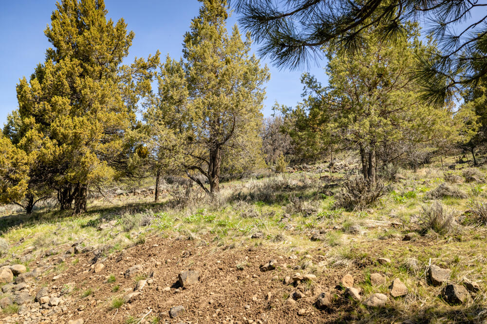 Keno Hillside Acres - Residential