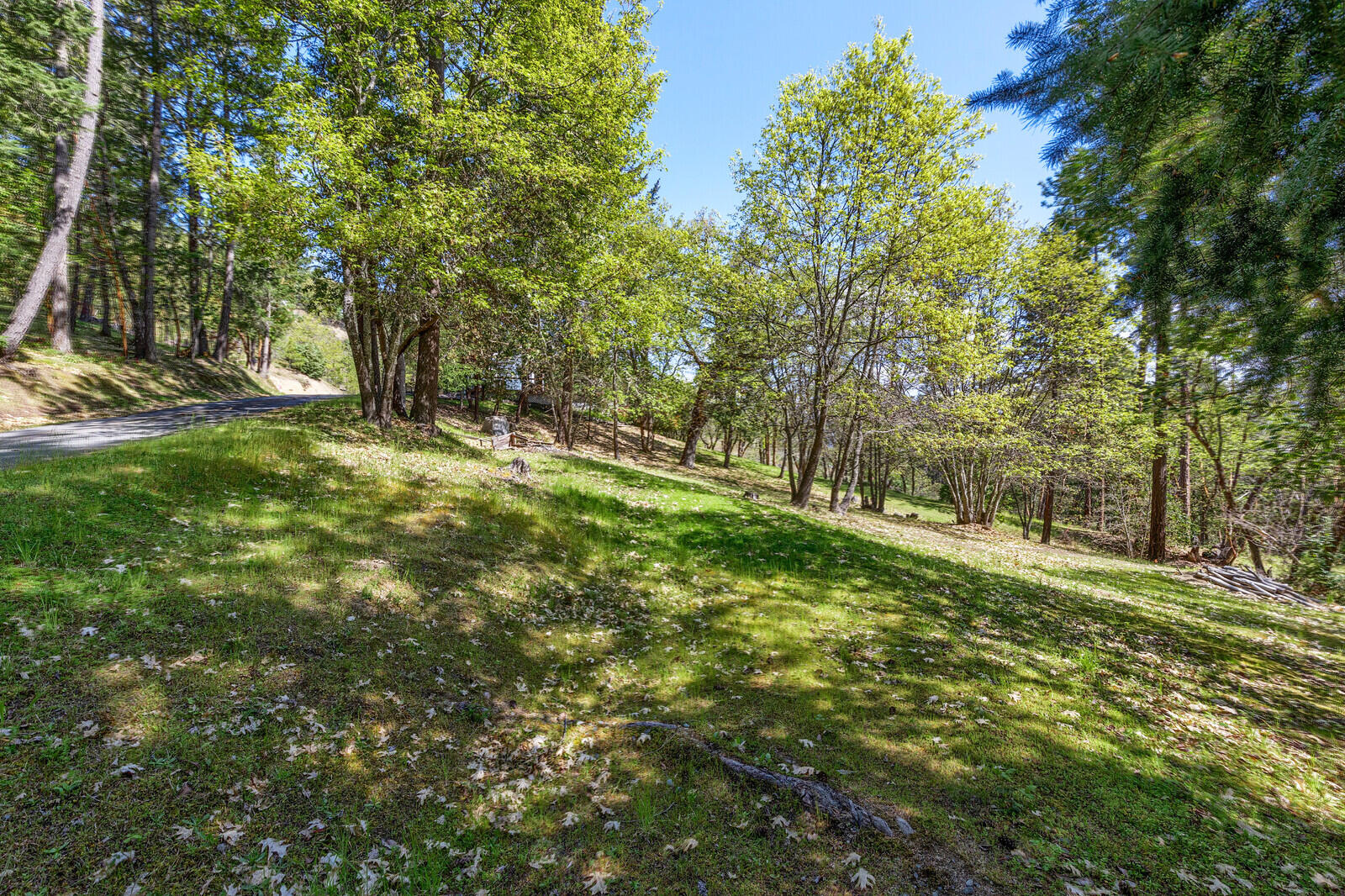 College Heights Subdivision - Residential