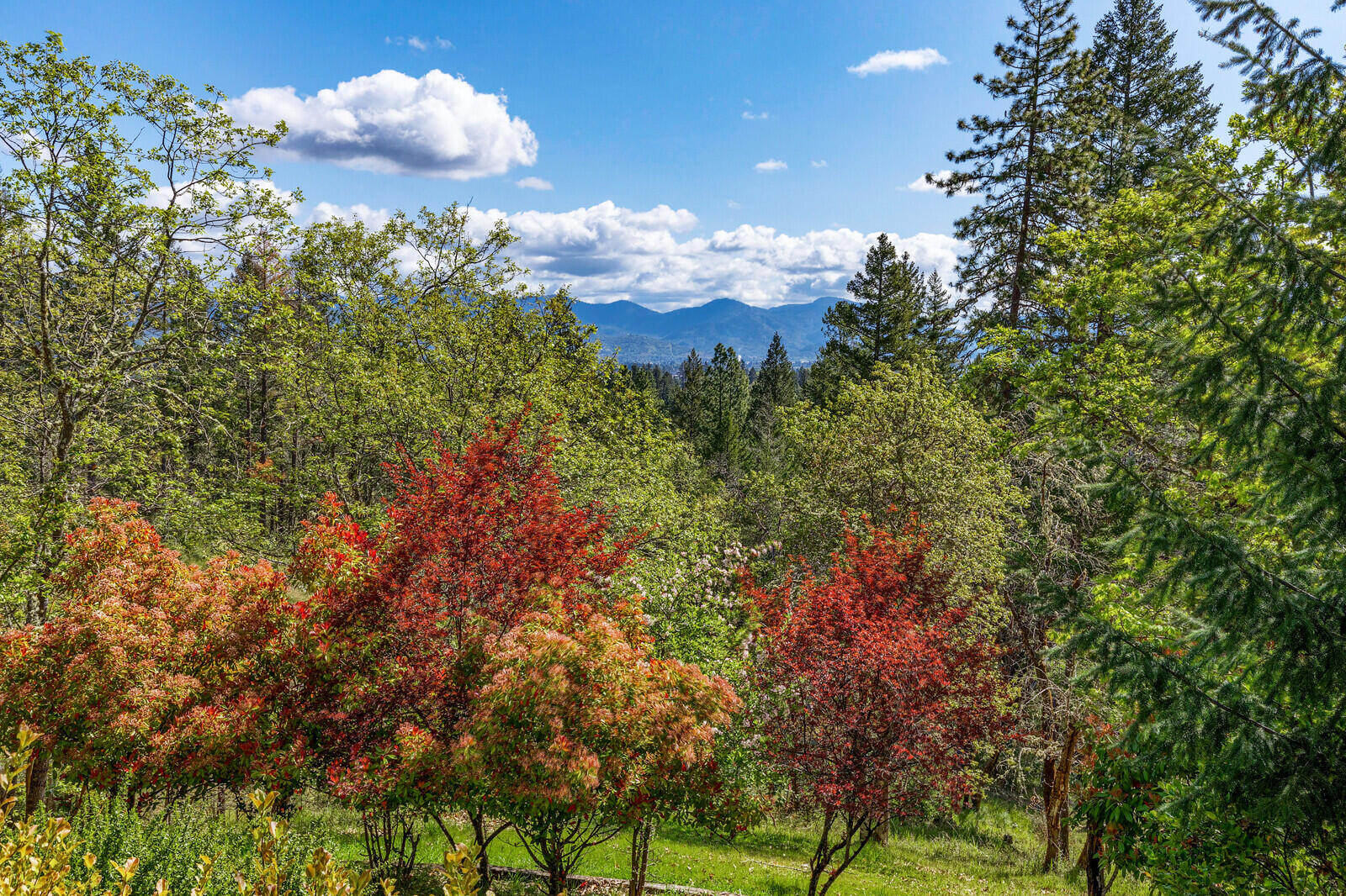 College Heights Subdivision - Residential