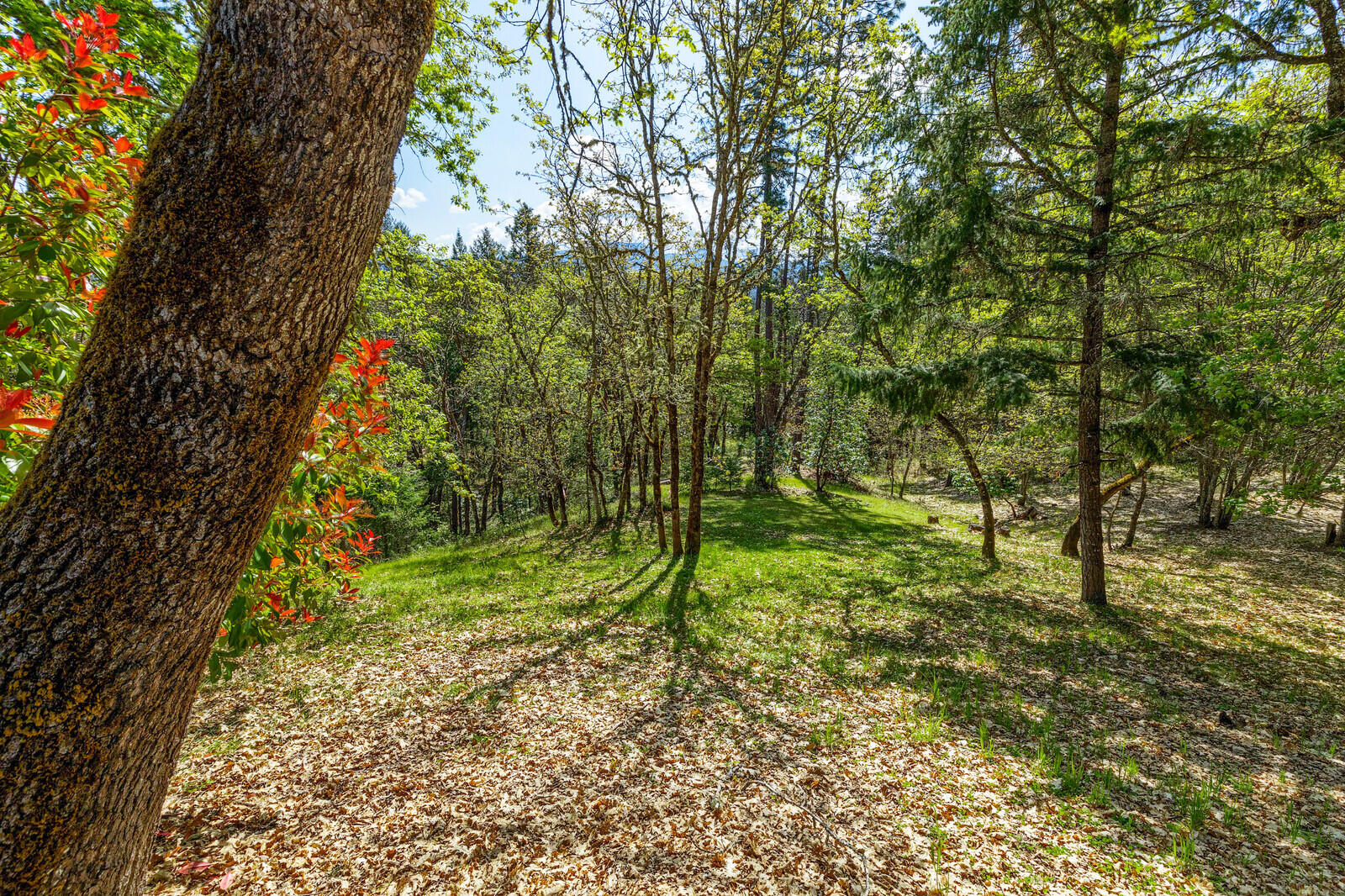 College Heights Subdivision - Residential