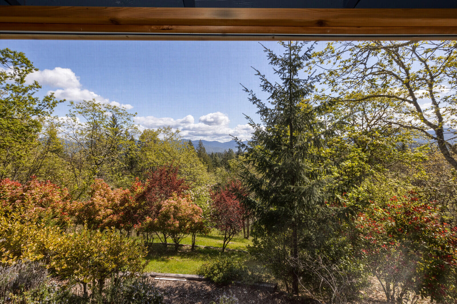 College Heights Subdivision - Residential