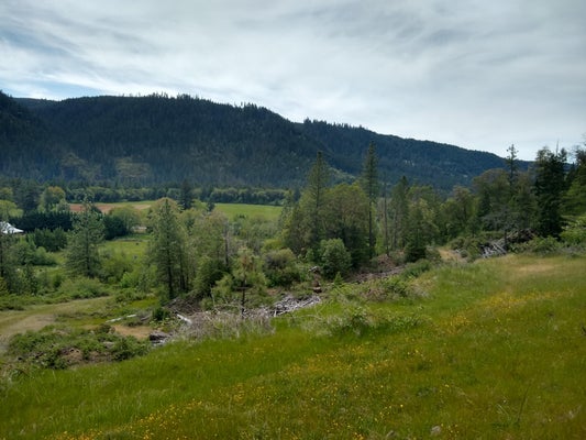 0 MAP&TAXLOT 332E09 600, HWY 62, PROSPECT, OR 97536 - Image bb723da49944ba0d4cbd2d9fc1592519/45249046