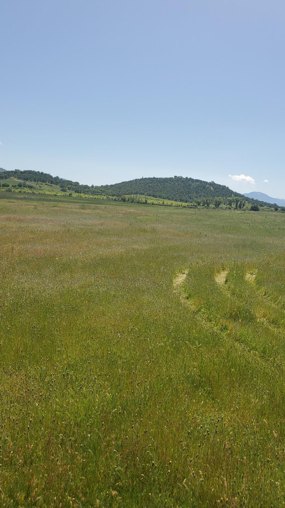 N/A - Commercial Sale