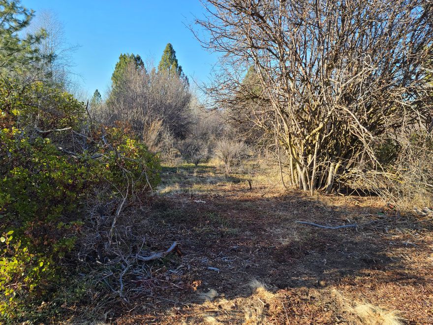 Nice level buildable lot with plenty of trees, perfect for site built or manufactured home.  Community well,  Access to 17 acre gated lakeside park for camping, RV Boat Launch., $100.00 yearly HOA fee covers water usage, road maintenance and access to the recreational park.