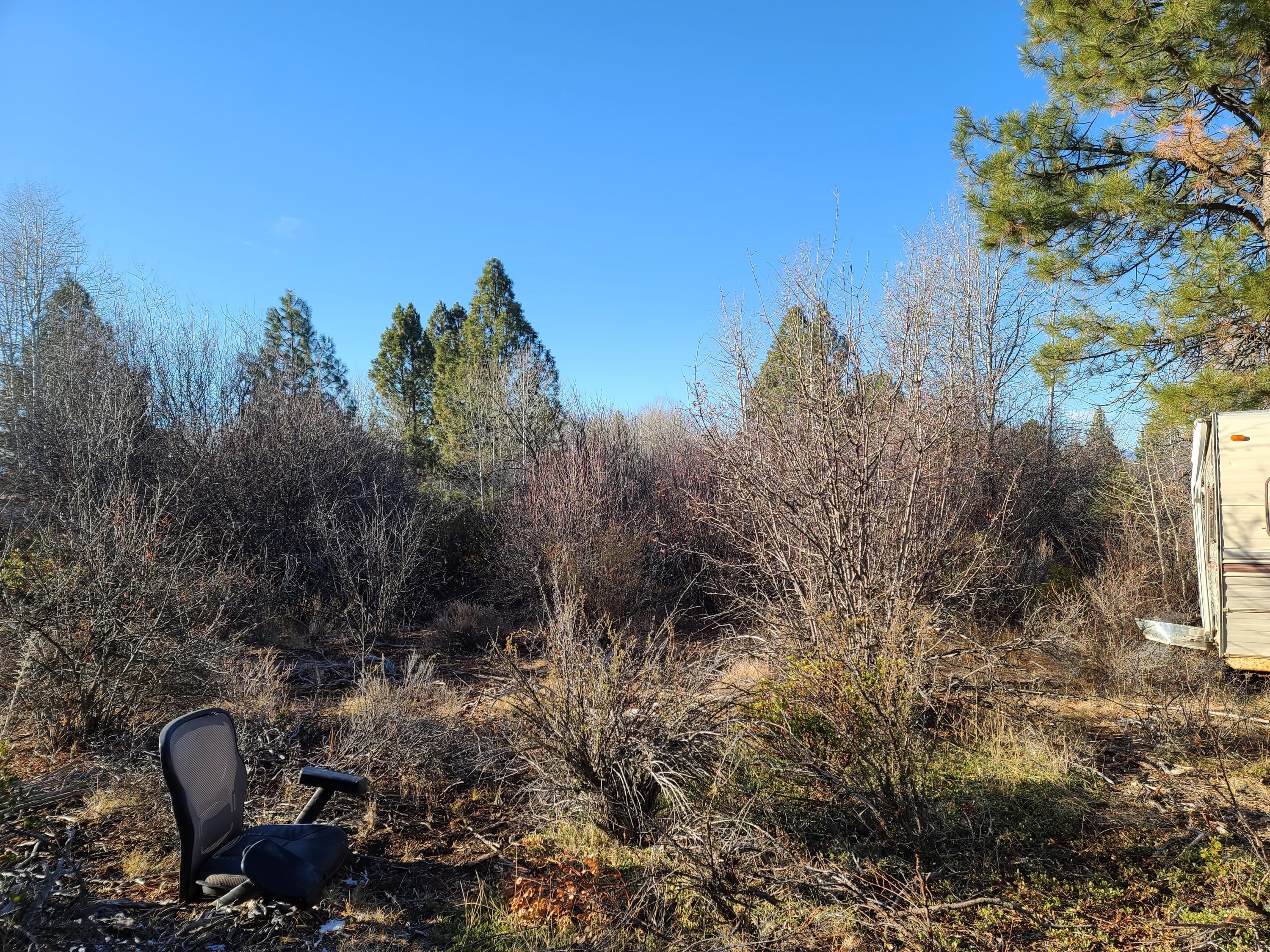 Oregon Shores - Land