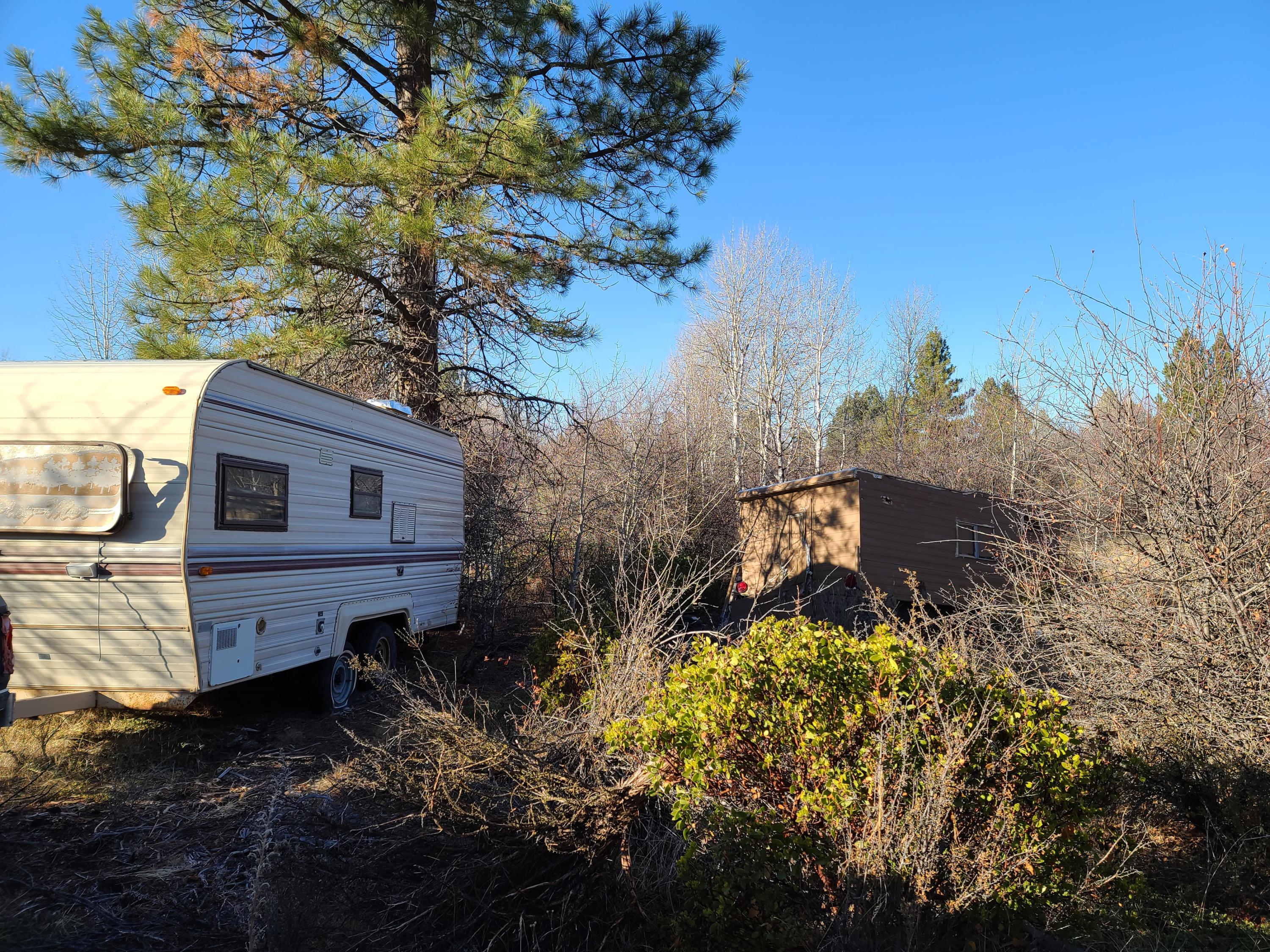 Oregon Shores - Land
