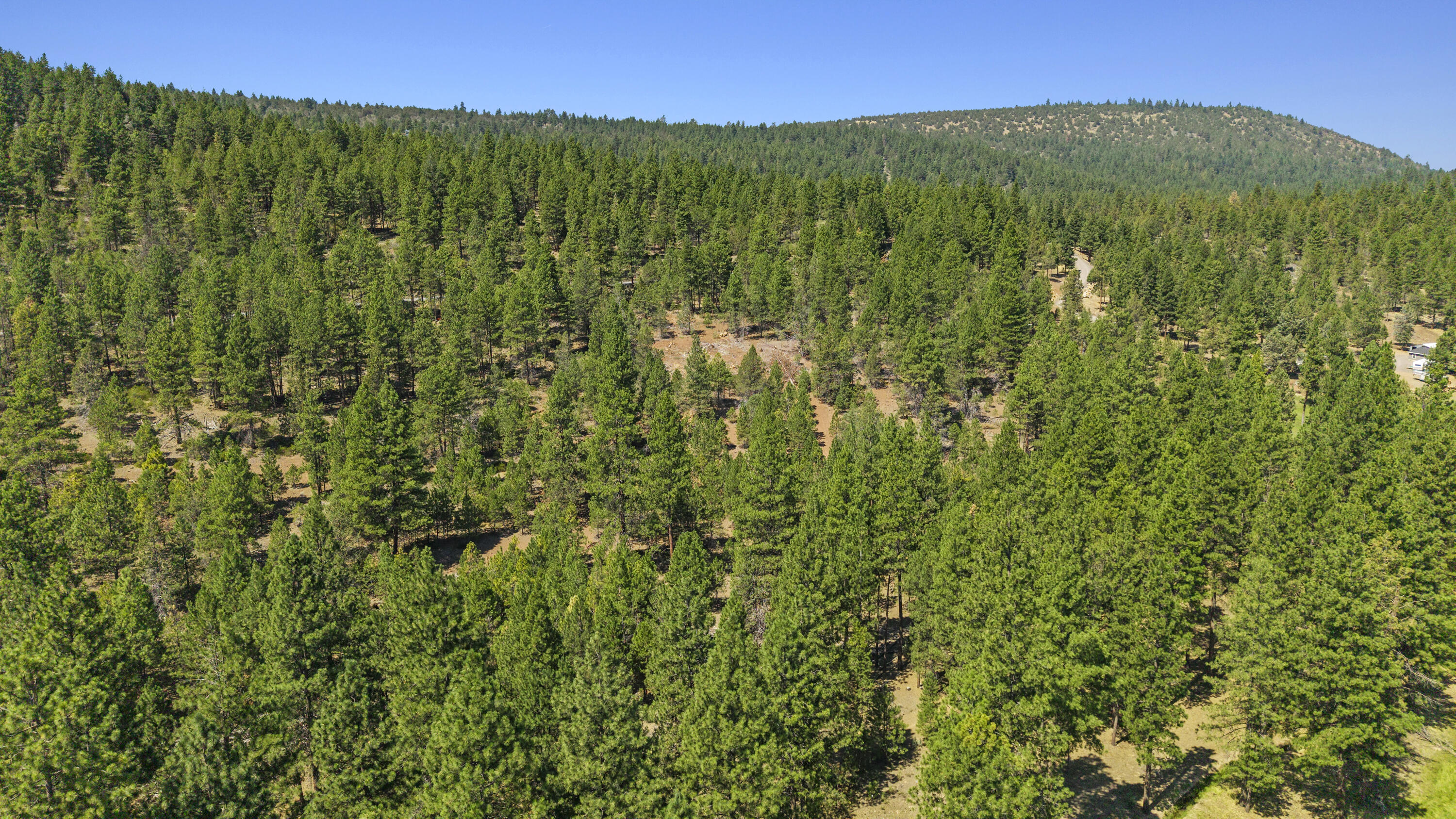 Plum Valley II - Land