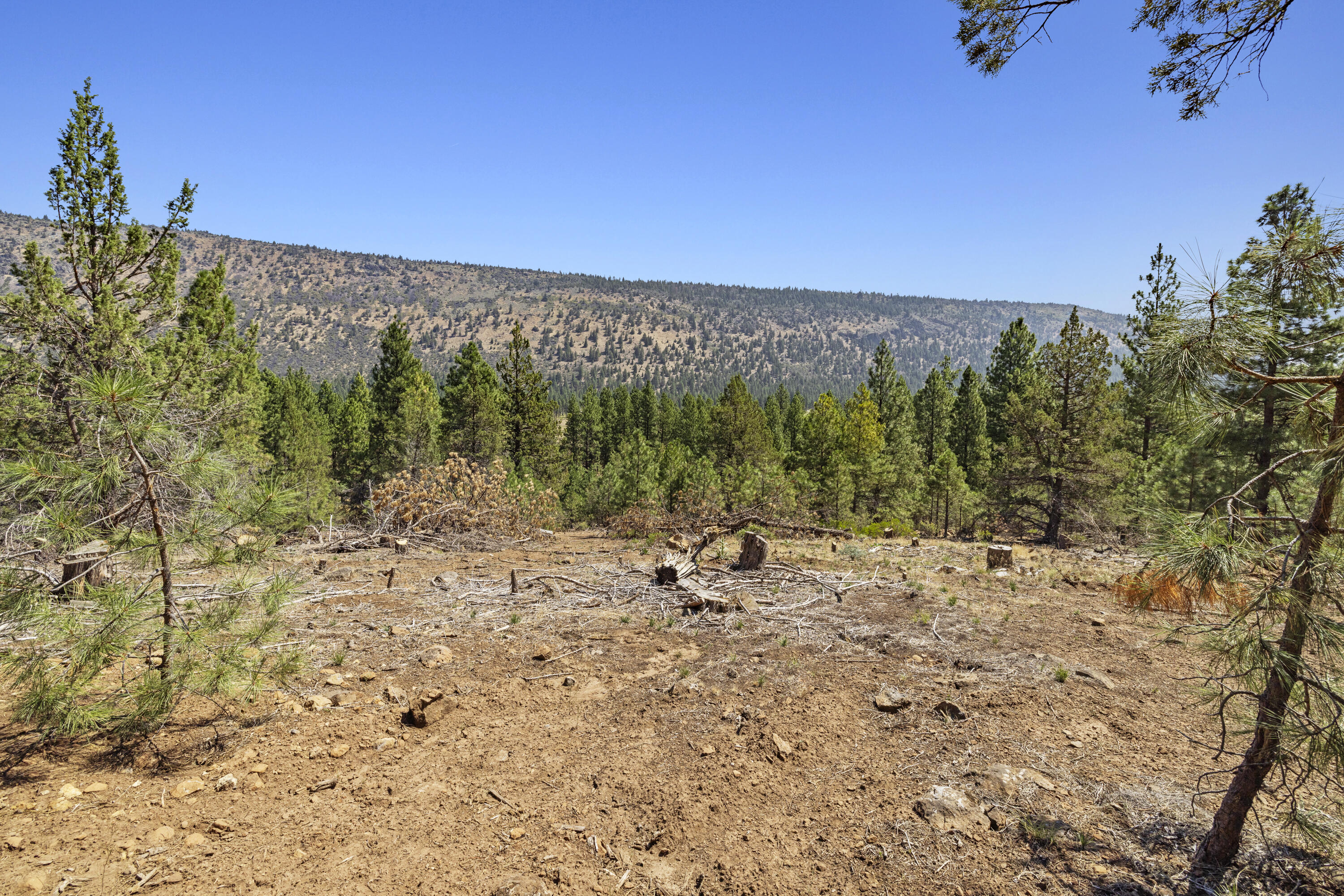 Plum Valley II - Land