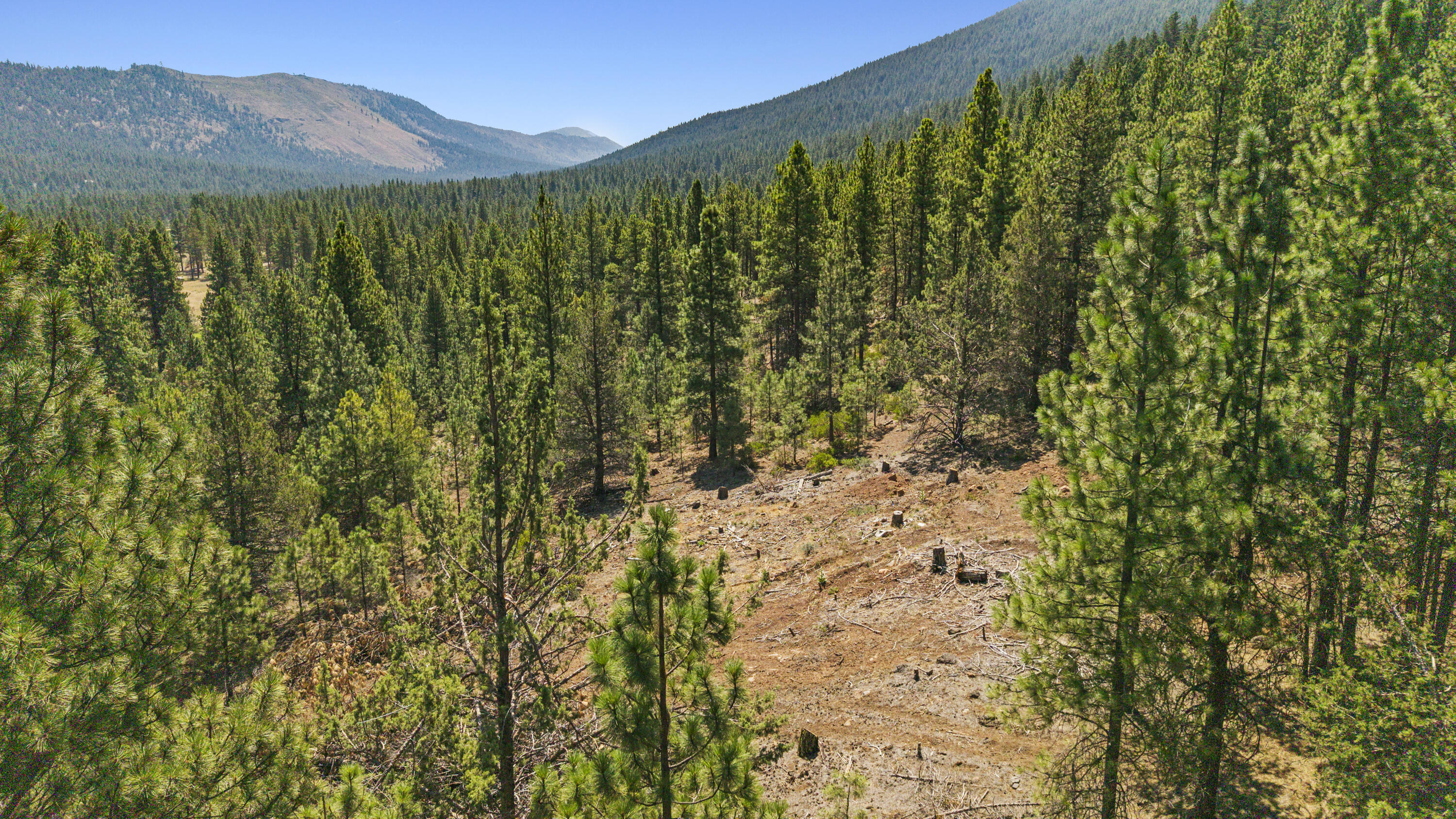 Plum Valley II - Land