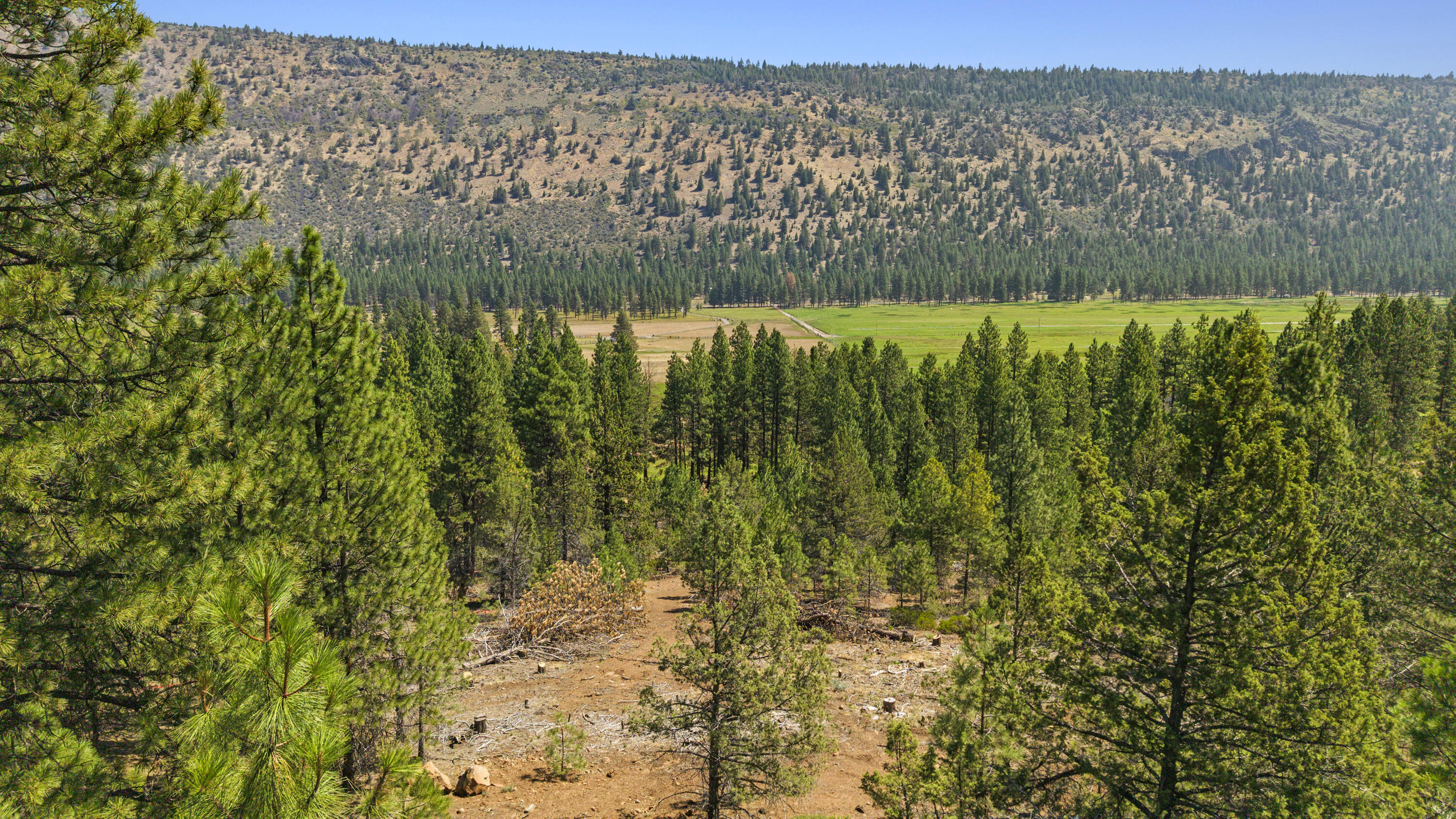 Plum Valley II - Land