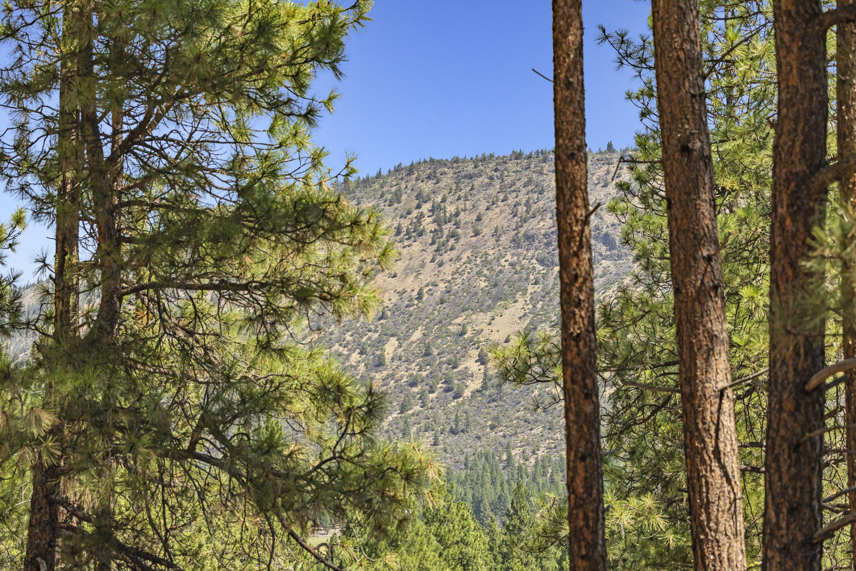 Plum Valley II - Land