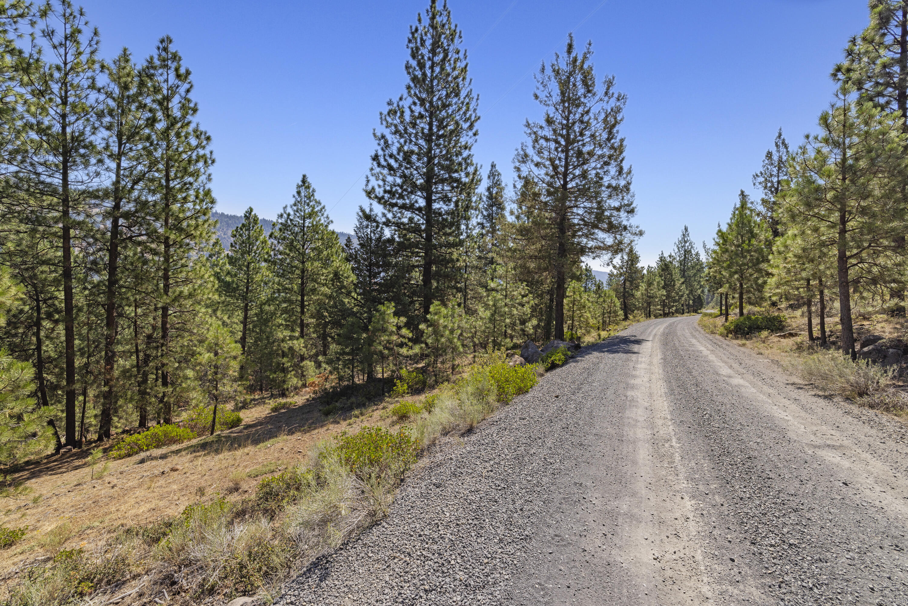 Plum Valley II - Land