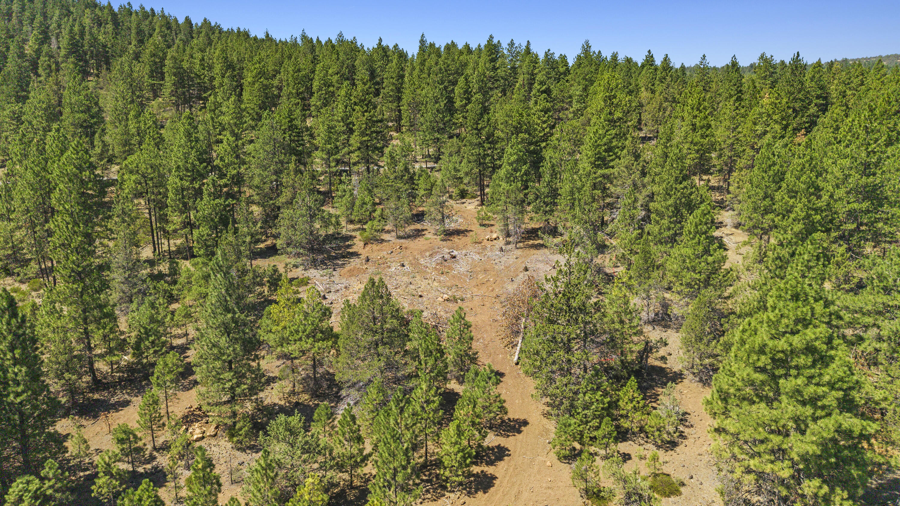 Plum Valley II - Land