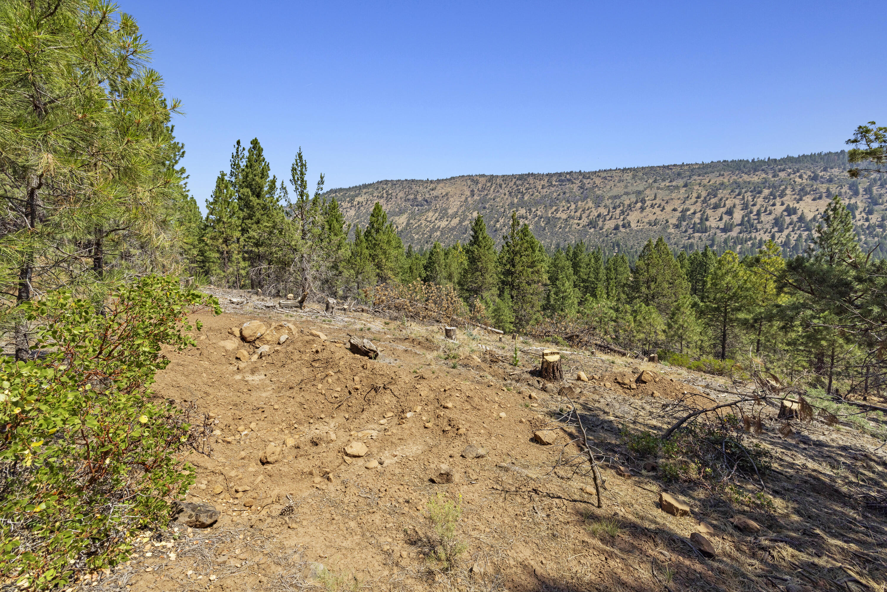 Plum Valley II - Land