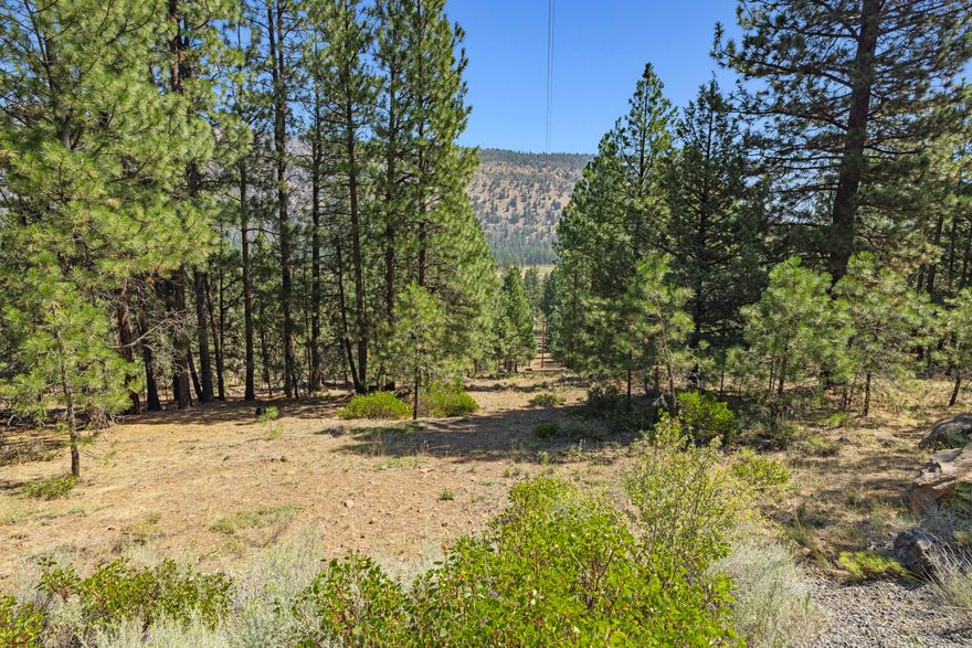 Looking to escape the hustle and bustle, but still live a short distance from town, this may be the property for you. Nestled in the pines of Simpson Canyon, just off Old Fort Rd, this 9.13 acre lot awaits! The seller has partially cleared some trees and began to cut in the driveway. Bring your imagination and plans for your new home! 
Septic approval on file. Power runs through property. Seller was ready to submit for building approval, but had a change of plans.