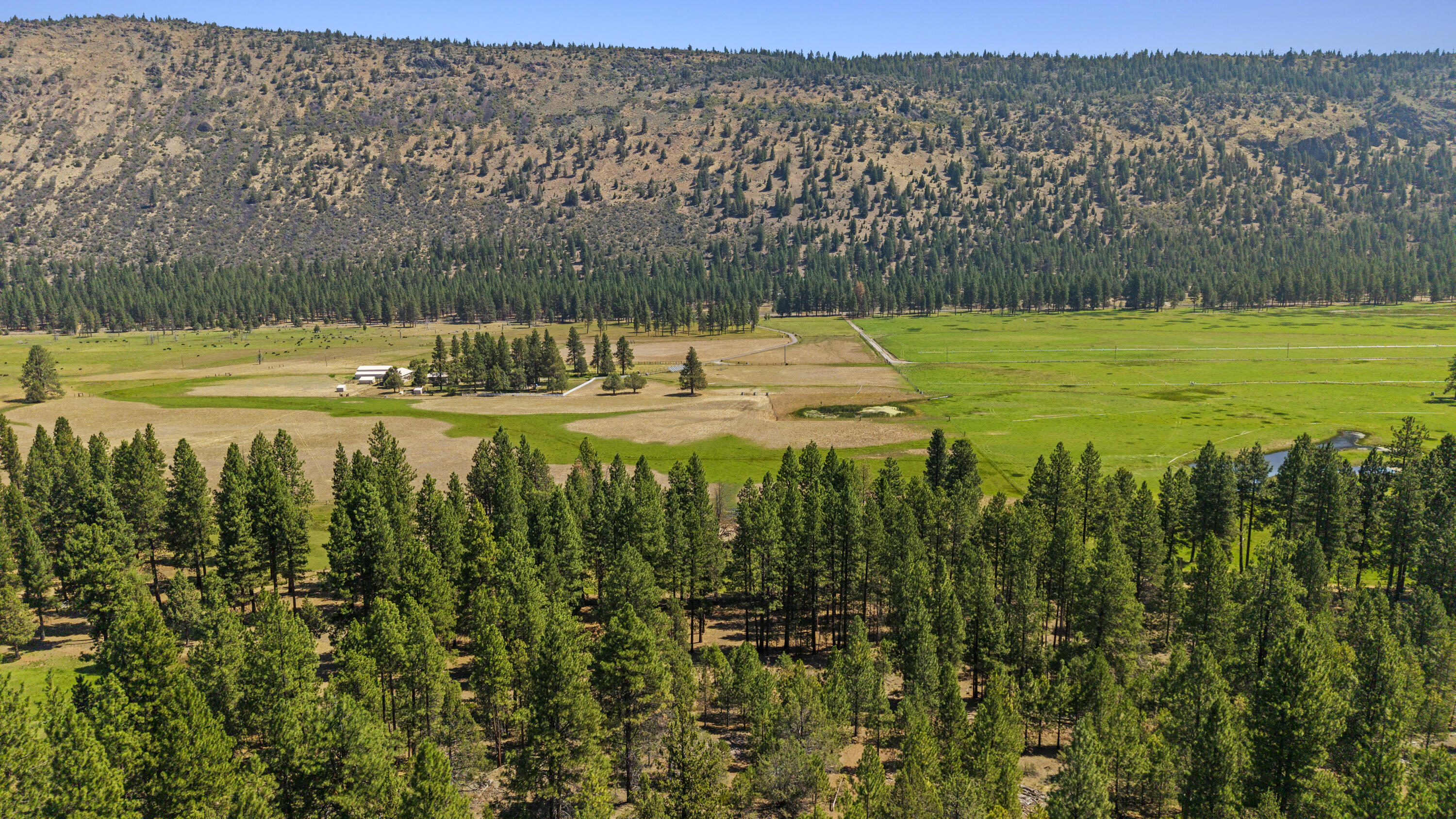 Plum Valley II - Land