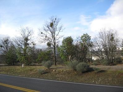 North Valley Industrial Park - Commercial Sale