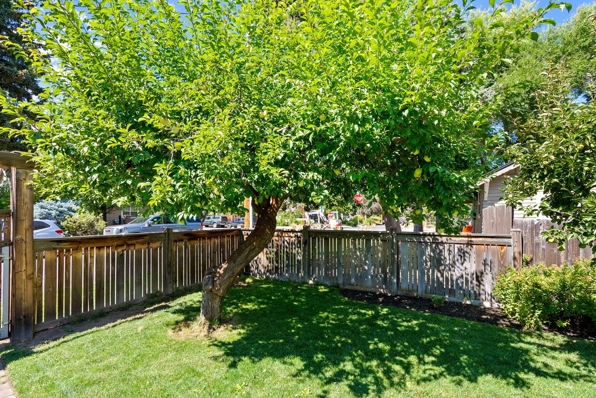 Boulevard - Residential