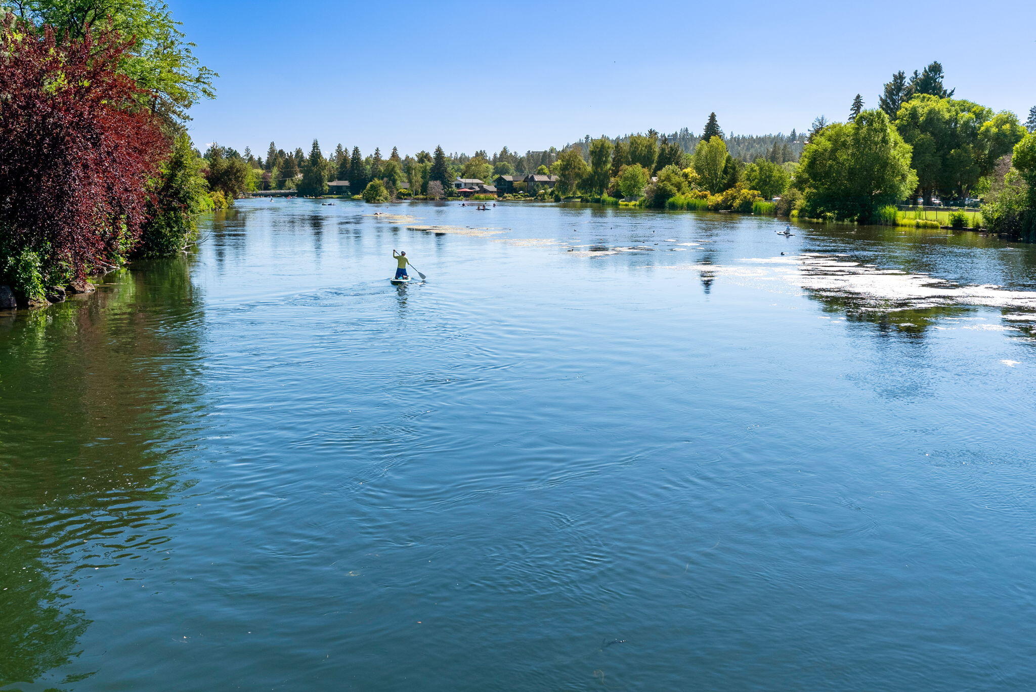 Boulevard - Residential