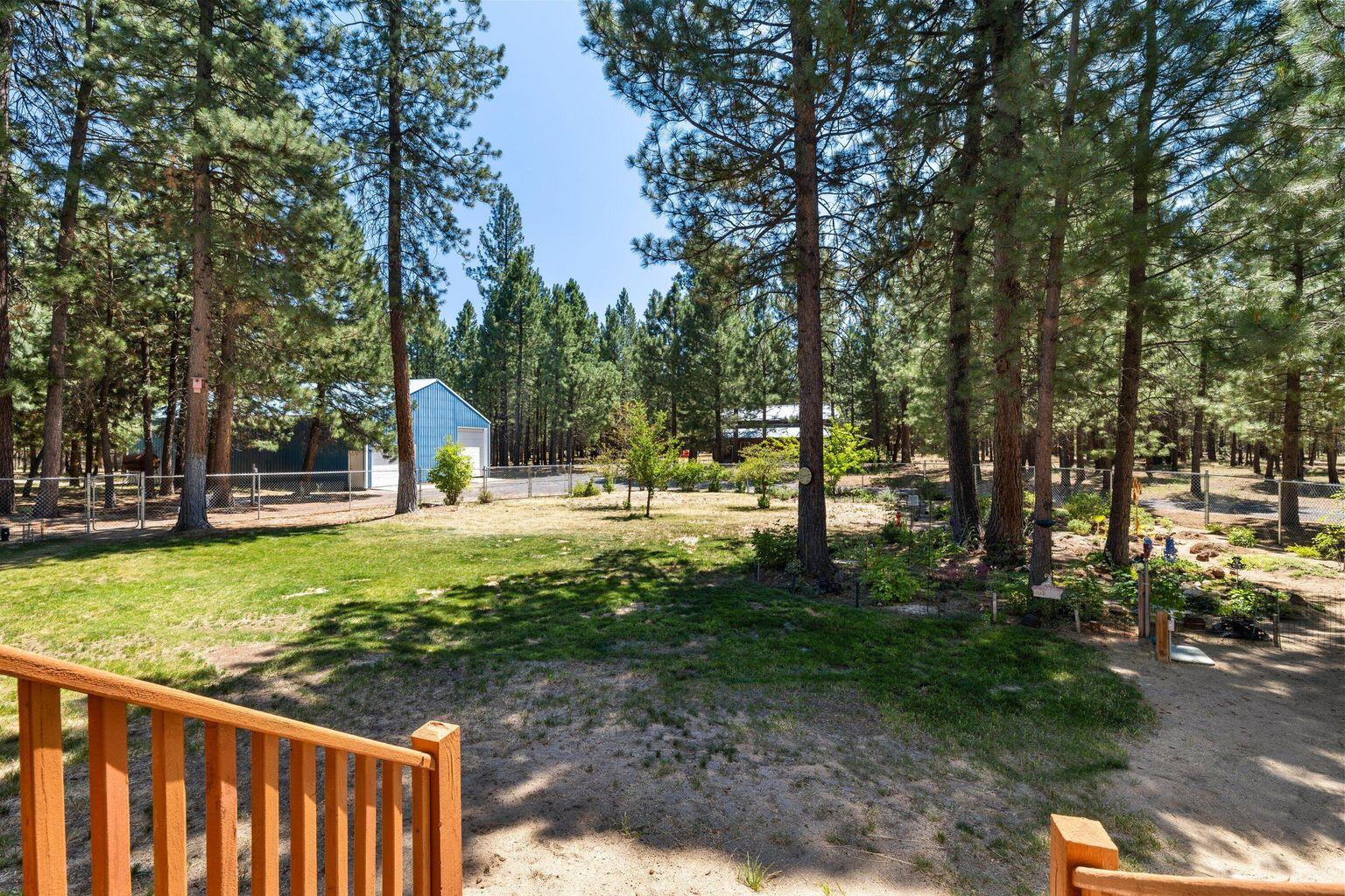 Ponderosa Pines - Residential