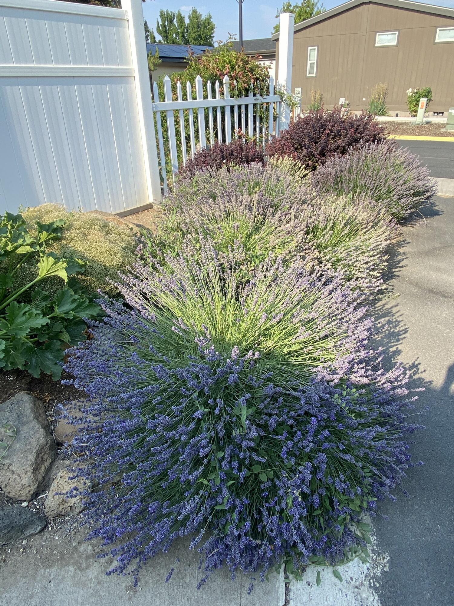 Aspen Creek Mob Pk - Residential