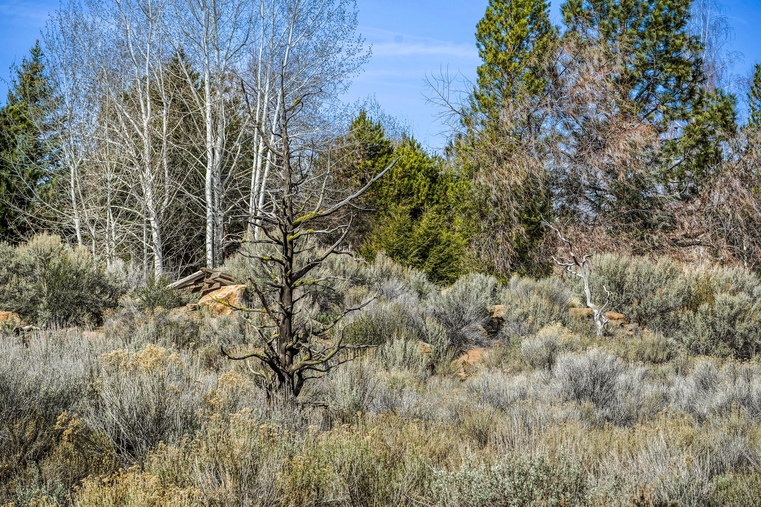 Tumalo Rim - Residential