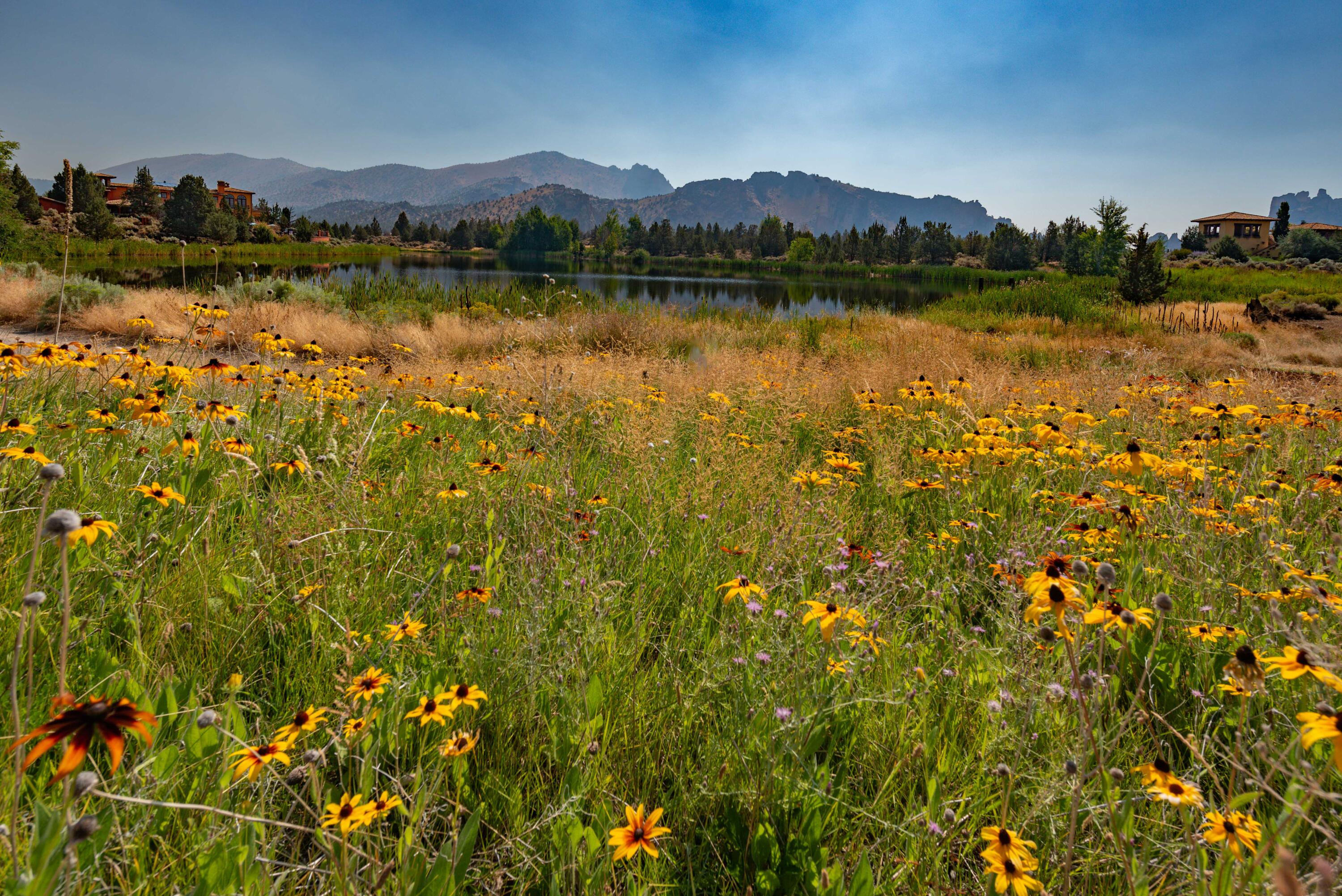 Ranch at the Canyons - Residential