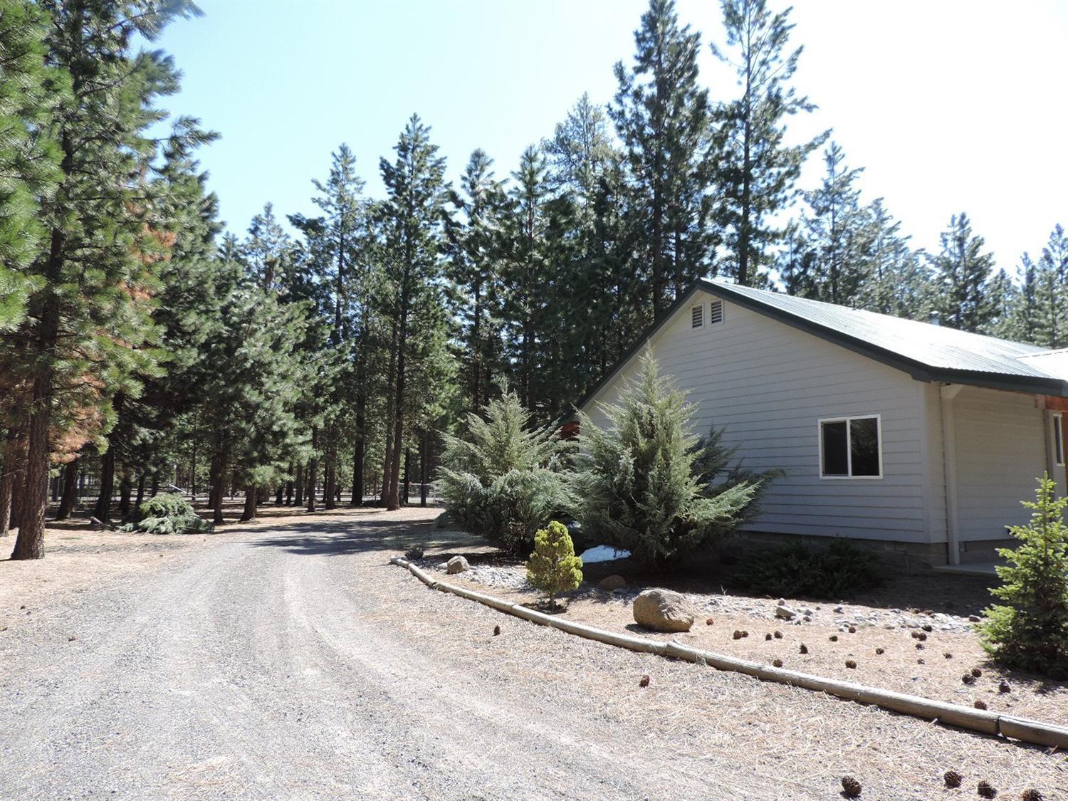 Ponderosa Pines - Residential
