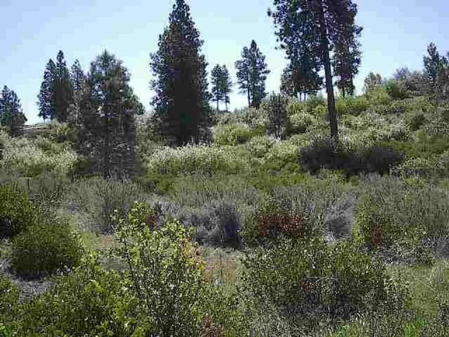 Beautiful Agency Lake Views In Supurb Subdivision. Wonderful Spot For A Log Home.