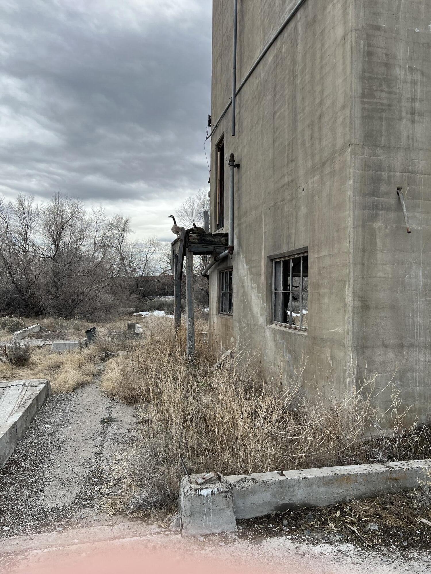 Snow Mnt Pine Industrial Park - Commercial Sale