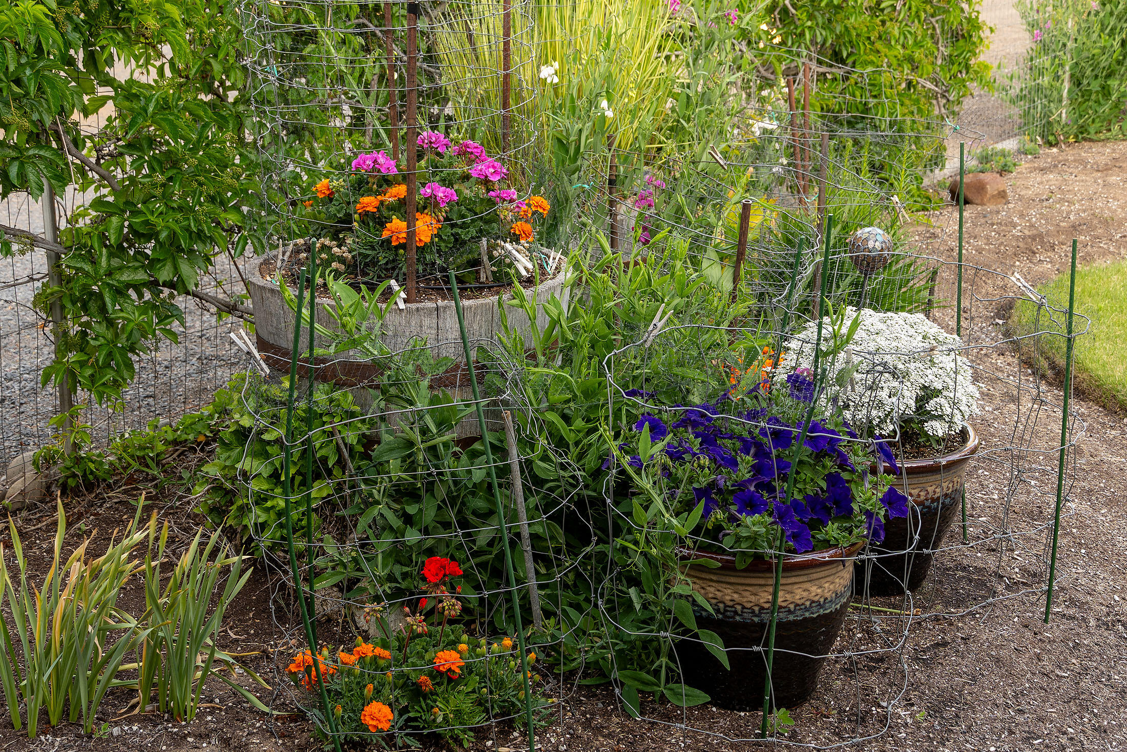 Cimarron City - Residential