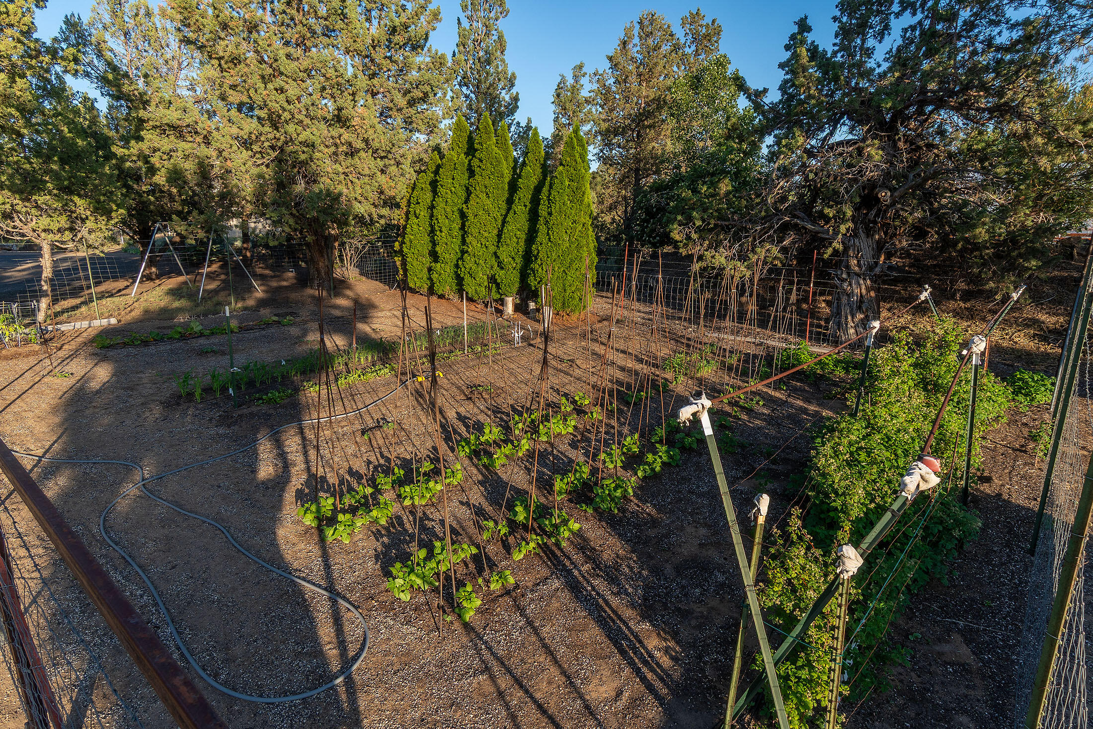 Cimarron City - Residential