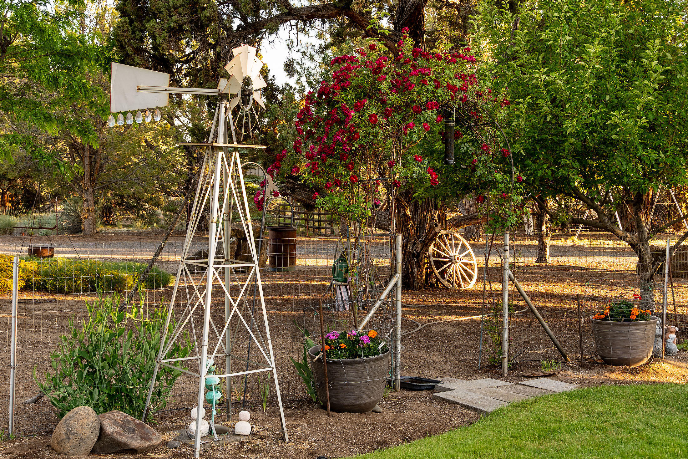 Cimarron City - Residential