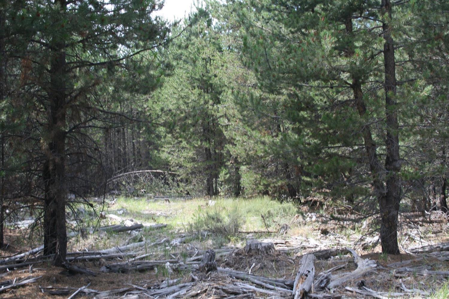 Little River Ranch - Land