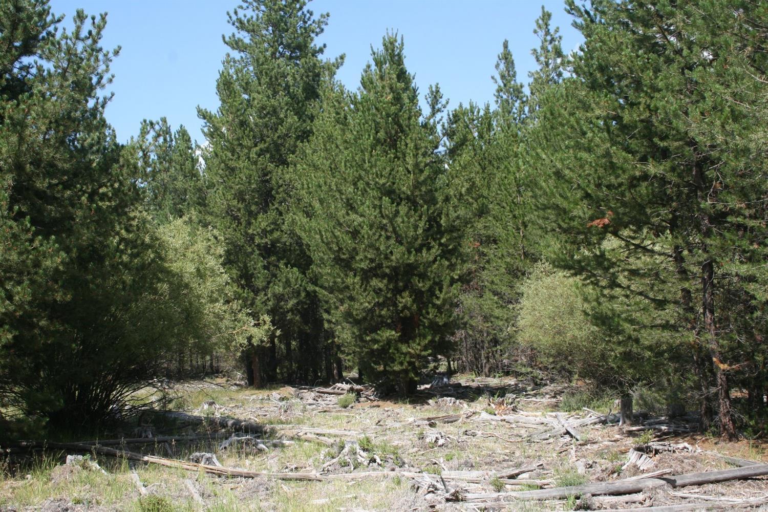 Little River Ranch - Land