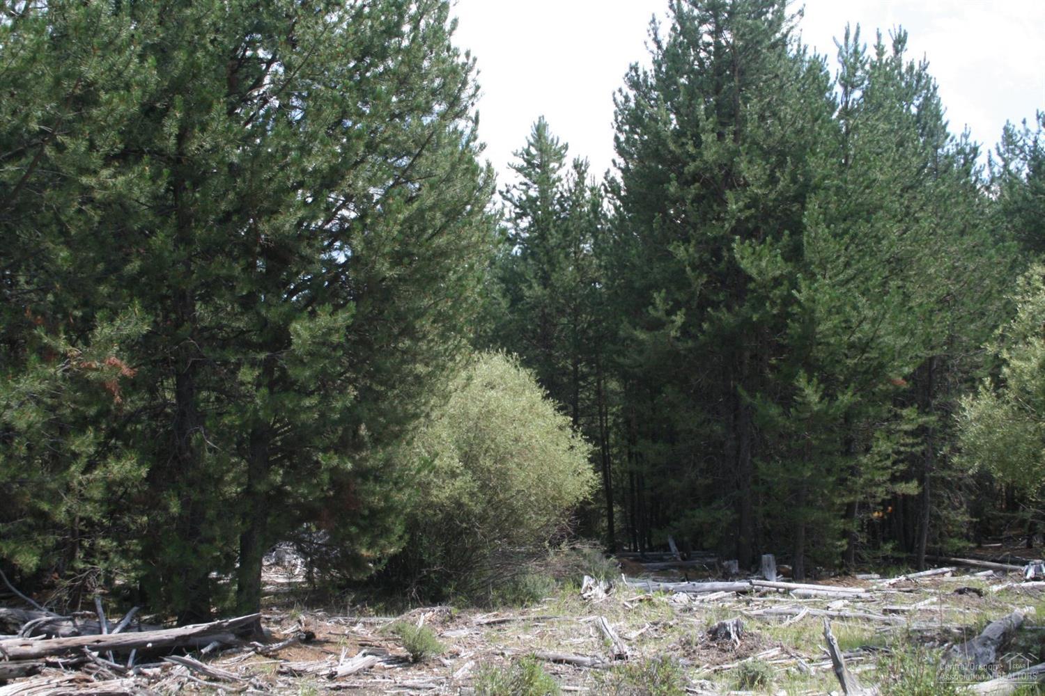 Little River Ranch - Land