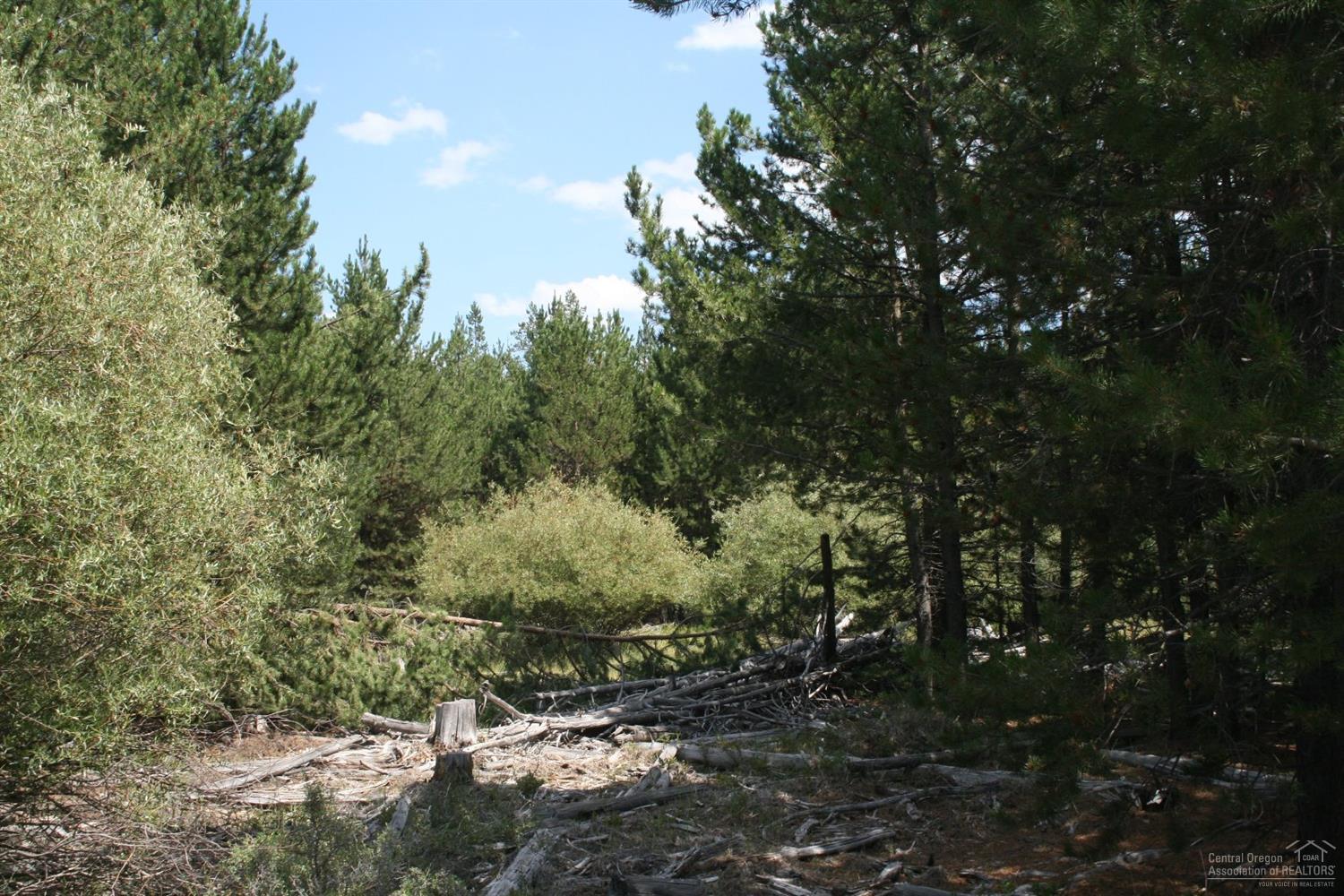 Little River Ranch - Land