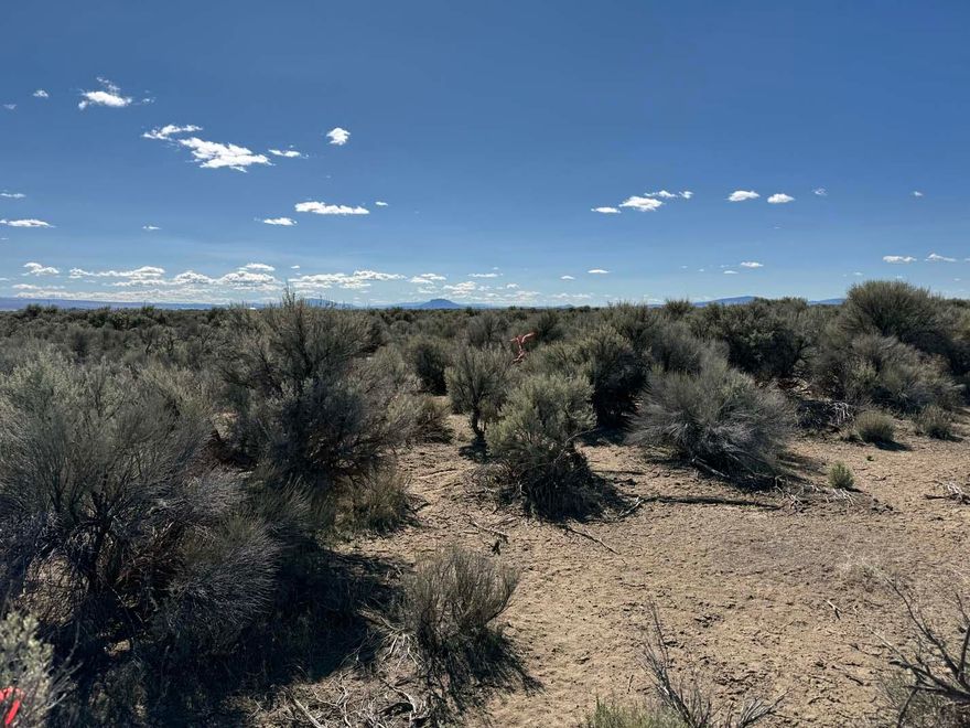 10 Acres, flat with a great road for access. The 10 Acres next door is available too.