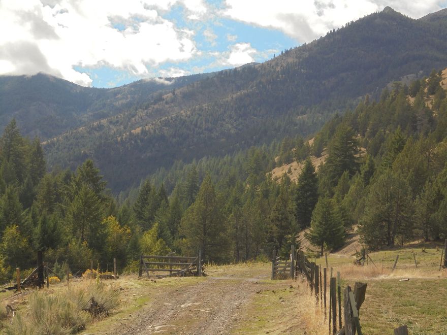 The Moon Creek Ranch has been owned by the same family for 100 years.  The ranch offers a unique opportunity to own an entire canyon and watershed.  The ranch consists of over 4400 acres of pasture and timber ground.  Moon Creek Ranch is directly adjacent to the Malheur Nat'l Forest and there is BLM that is contiguous to the ranch as well. 
 The big game hunting is incredible as the ranch sits in the highly coveted Murders Creek hunting unit.  The property qualifies for 3 LOP tags for elk, 3 LOP tags for deer, plus a variety of other opportunities on private land cow elk hunts.  Archery season is extra special at Moon Creek as big bulls bugle up and down the canyon.  The ranch has Whitetail and Mule deer, Bighorn Sheep, Elk, Cougars, Turkeys, Bobcats and Black bears.  It is not unusual to see 4 or 5 of these species on every trip up the canyon.  The ranch offers 3440 acres of deeded land, with 122 acres of water rights along with a 1011 acre BLM grazing allotment.