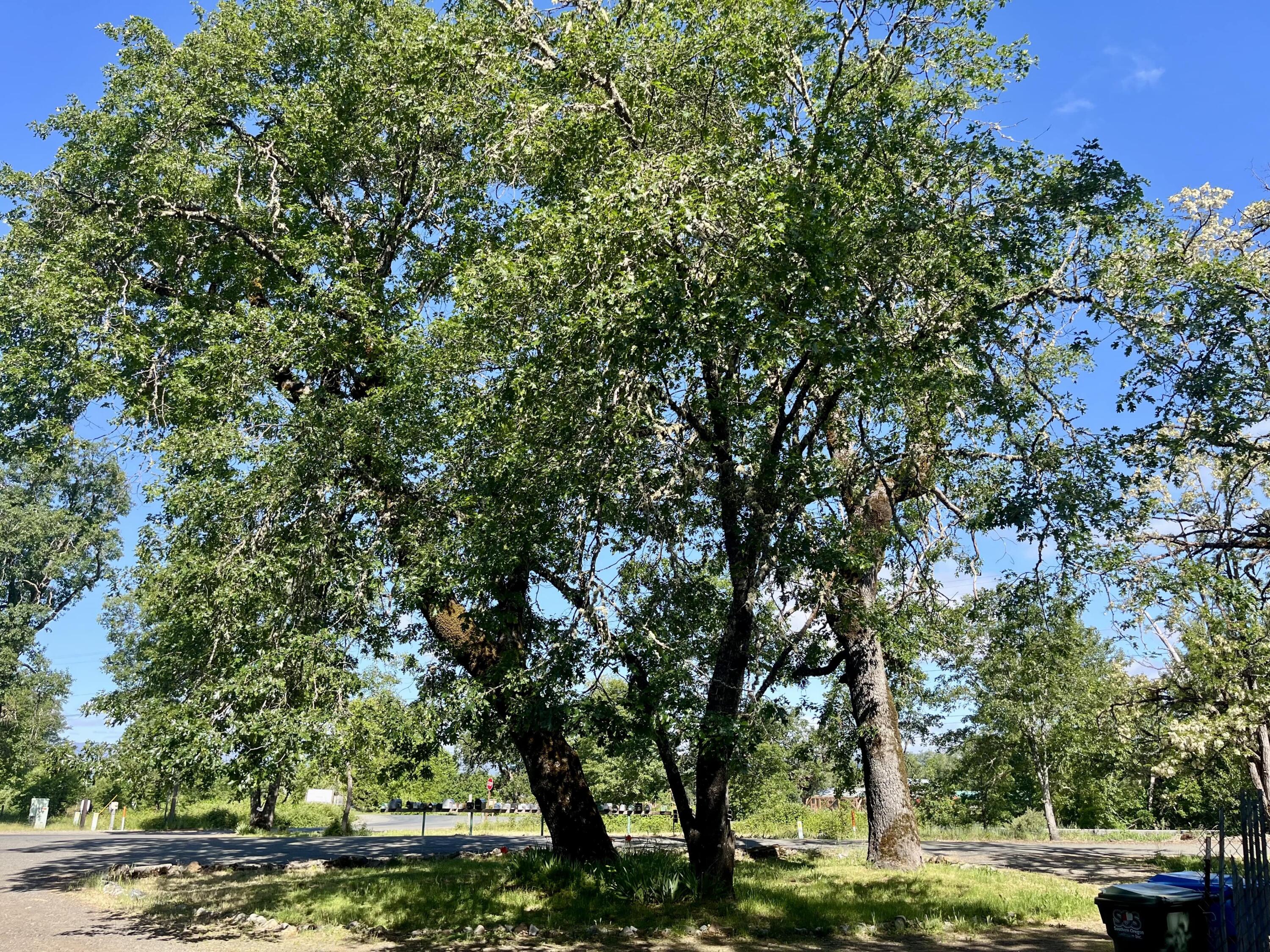 N/A - Residential Income