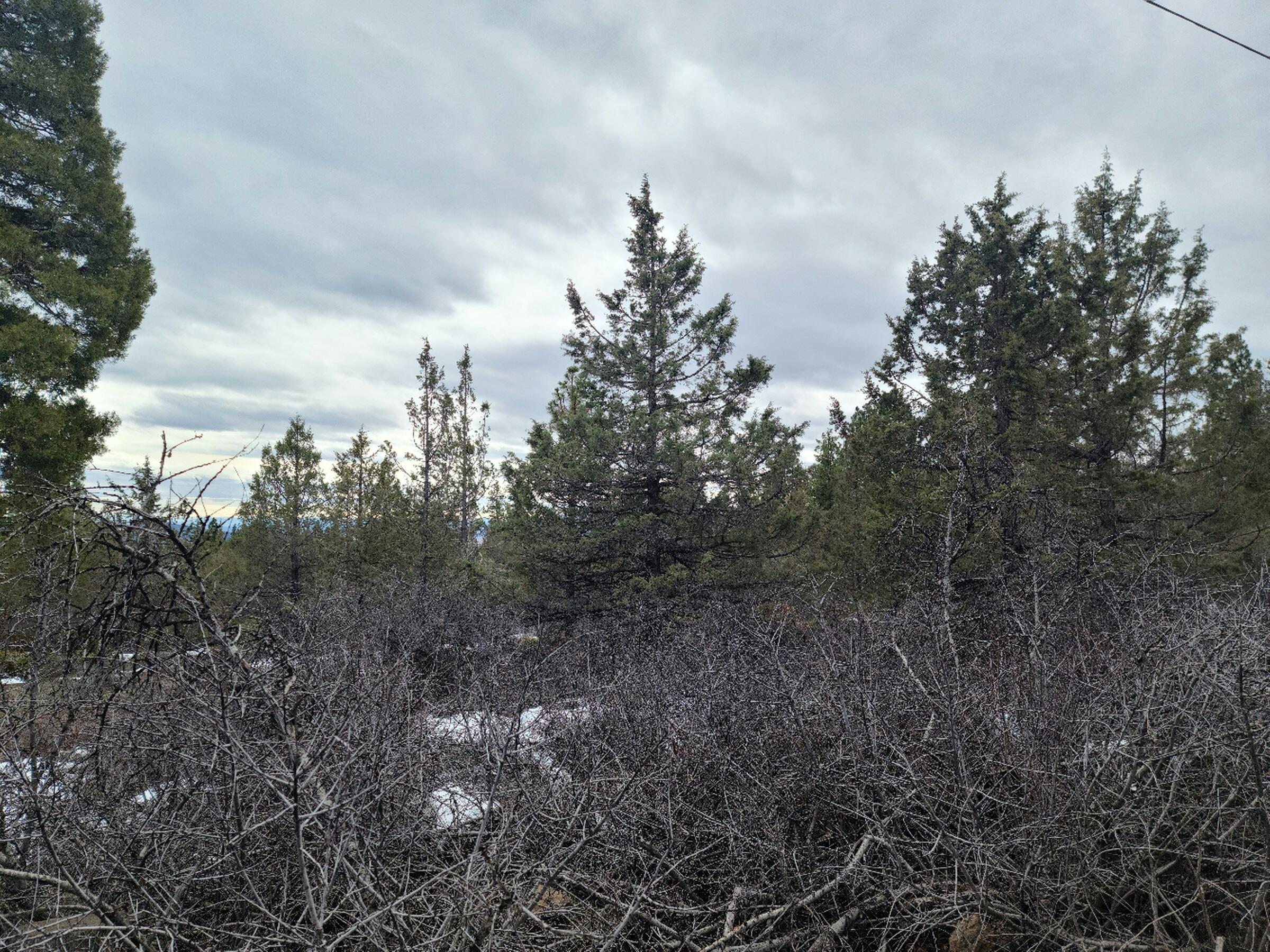 Klamath Falls Forest Estates -Hwy 66 Unit -Plat No. 1 - Land