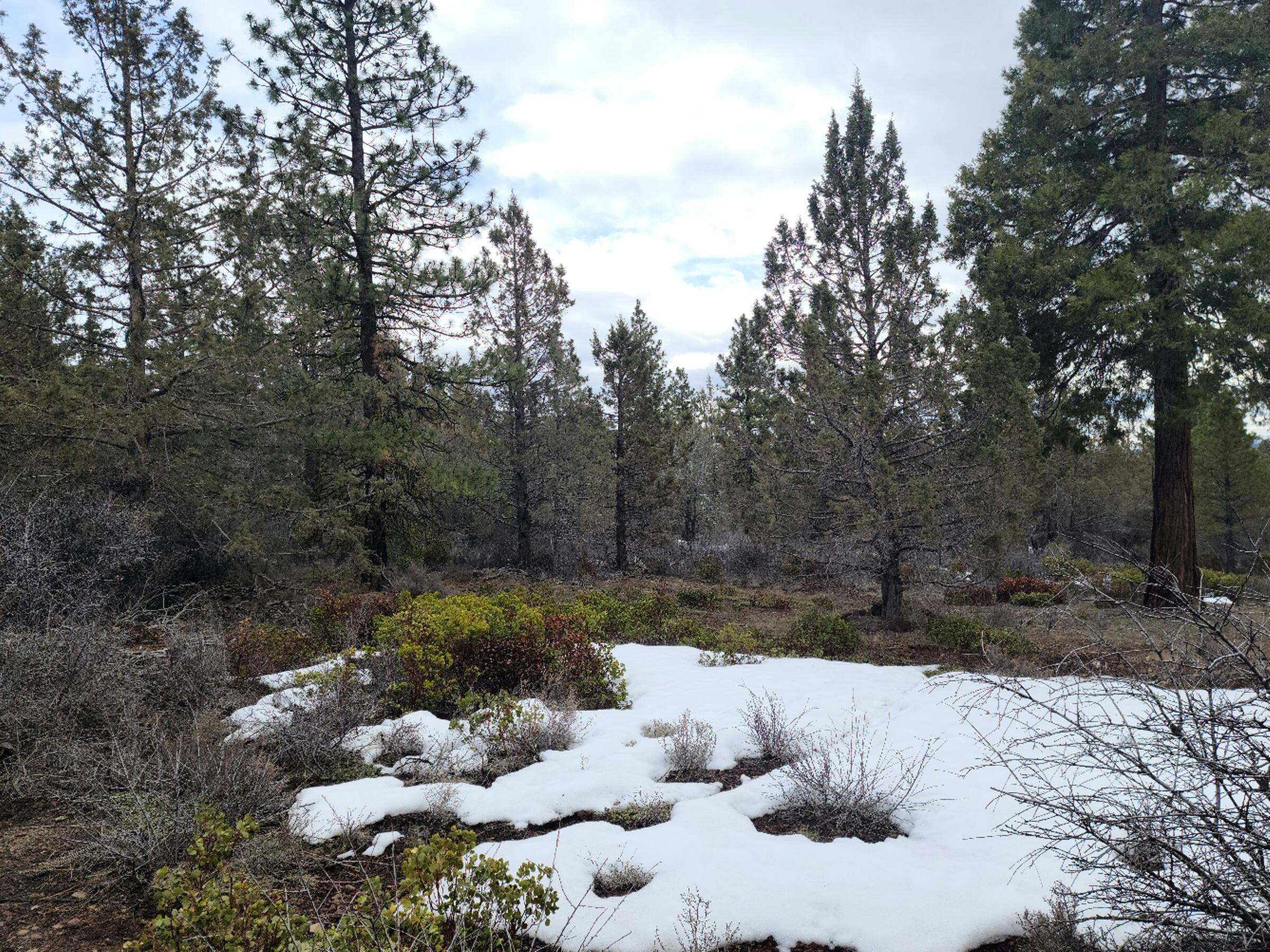 Klamath Falls Forest Estates -Hwy 66 Unit -Plat No. 1 - Land