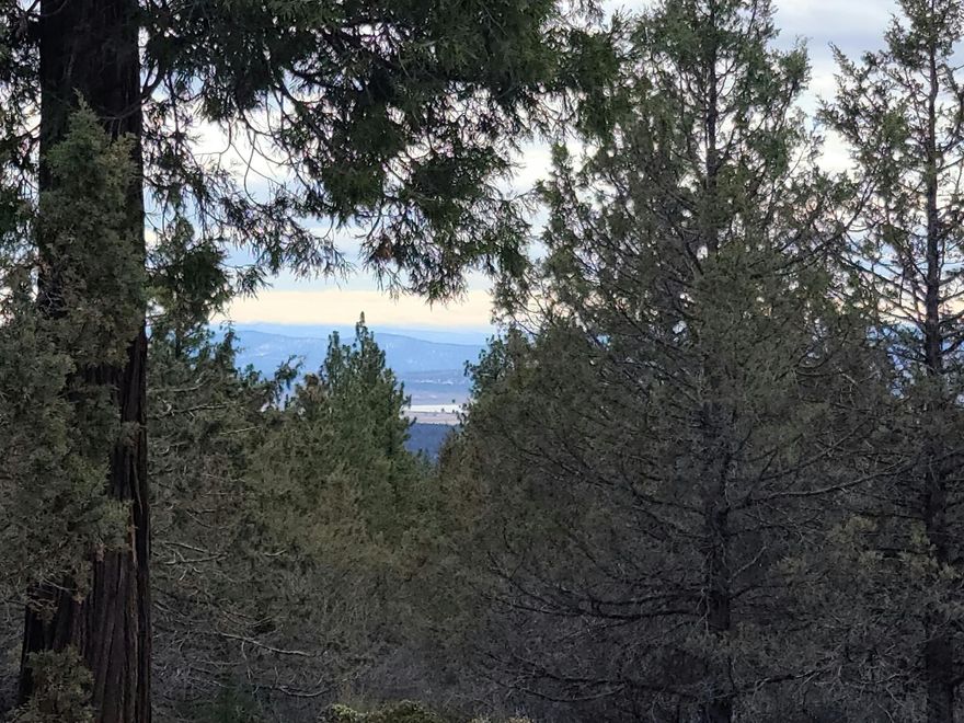 Slightly sloping and level lot with mountain and forested views. Power at the street, community water may be available for property owners.