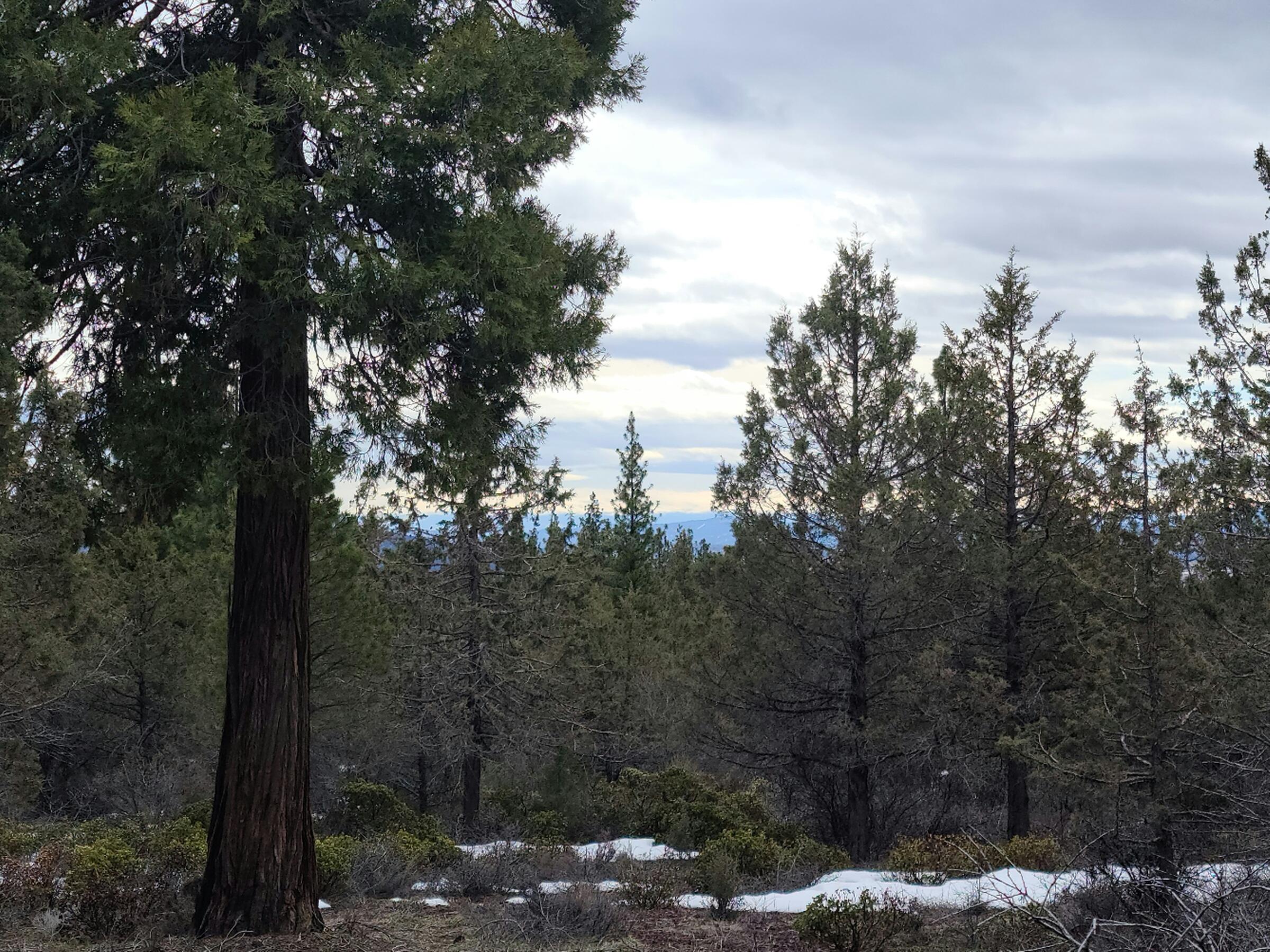 Klamath Falls Forest Estates -Hwy 66 Unit -Plat No. 1 - Land