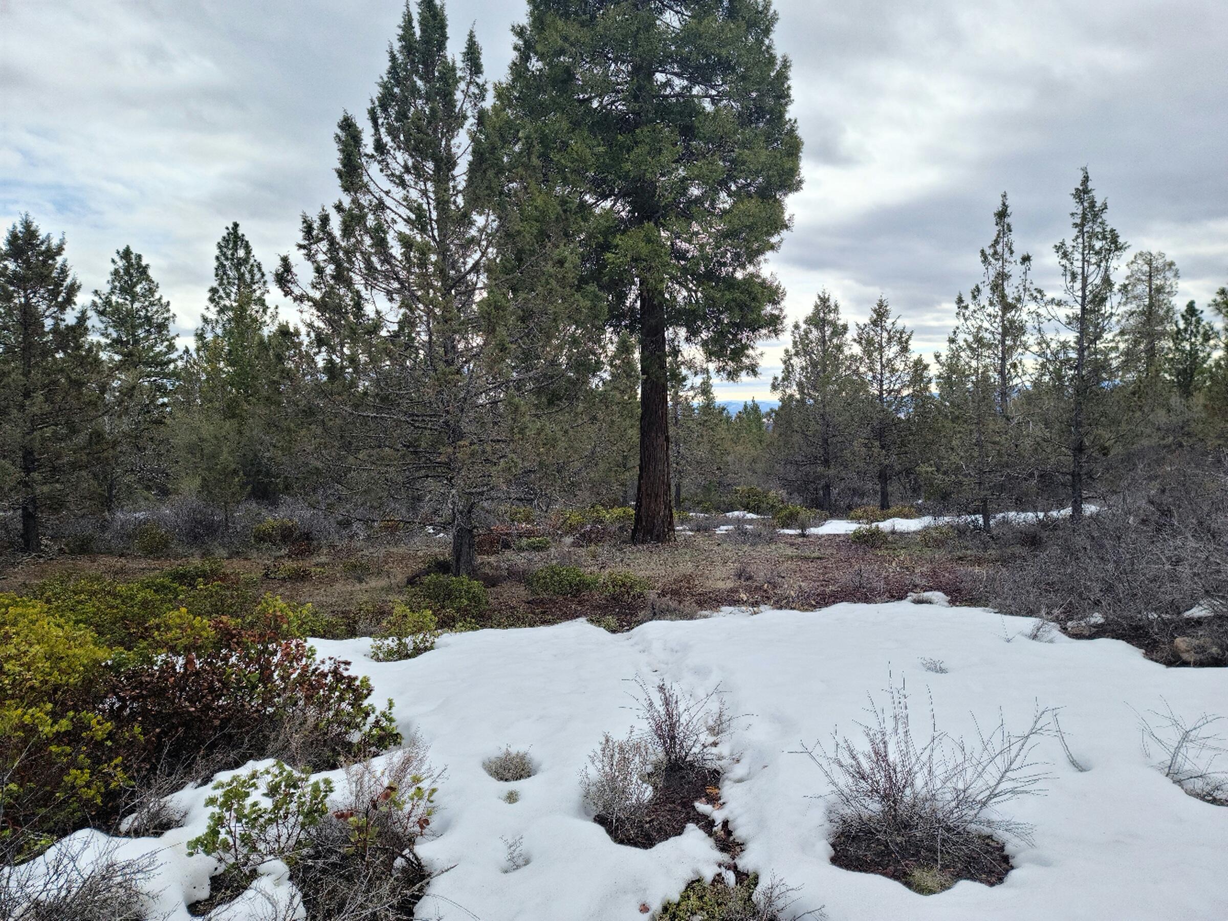 Klamath Falls Forest Estates -Hwy 66 Unit -Plat No. 1 - Land