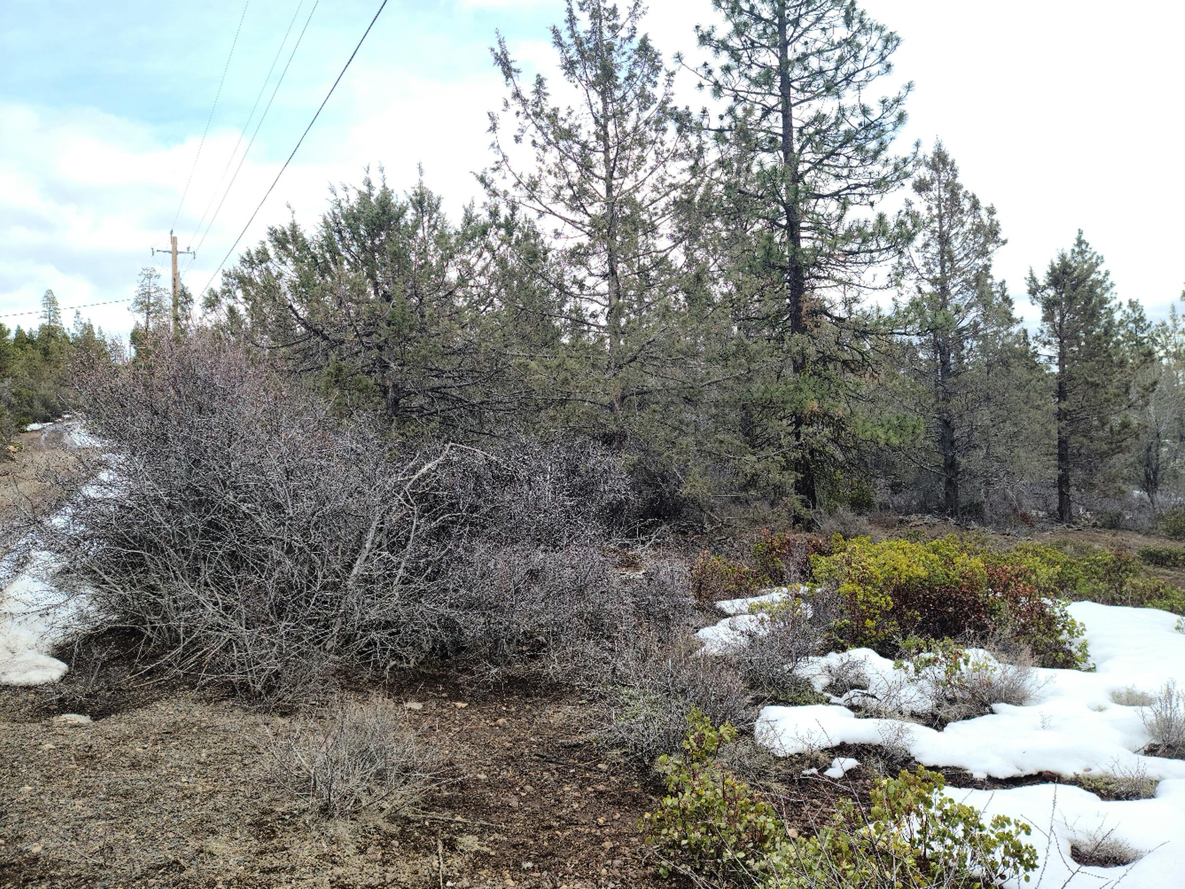 Klamath Falls Forest Estates -Hwy 66 Unit -Plat No. 1 - Land