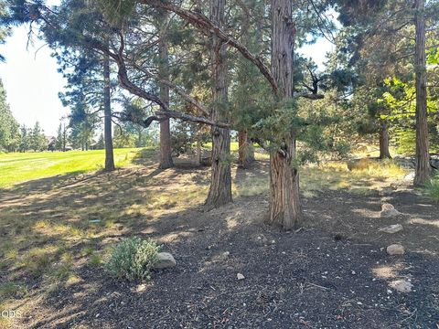 Tiny photo for 2533 NW Pine Terrace Drive, Bend, OR 97703 (MLS # 220223522)