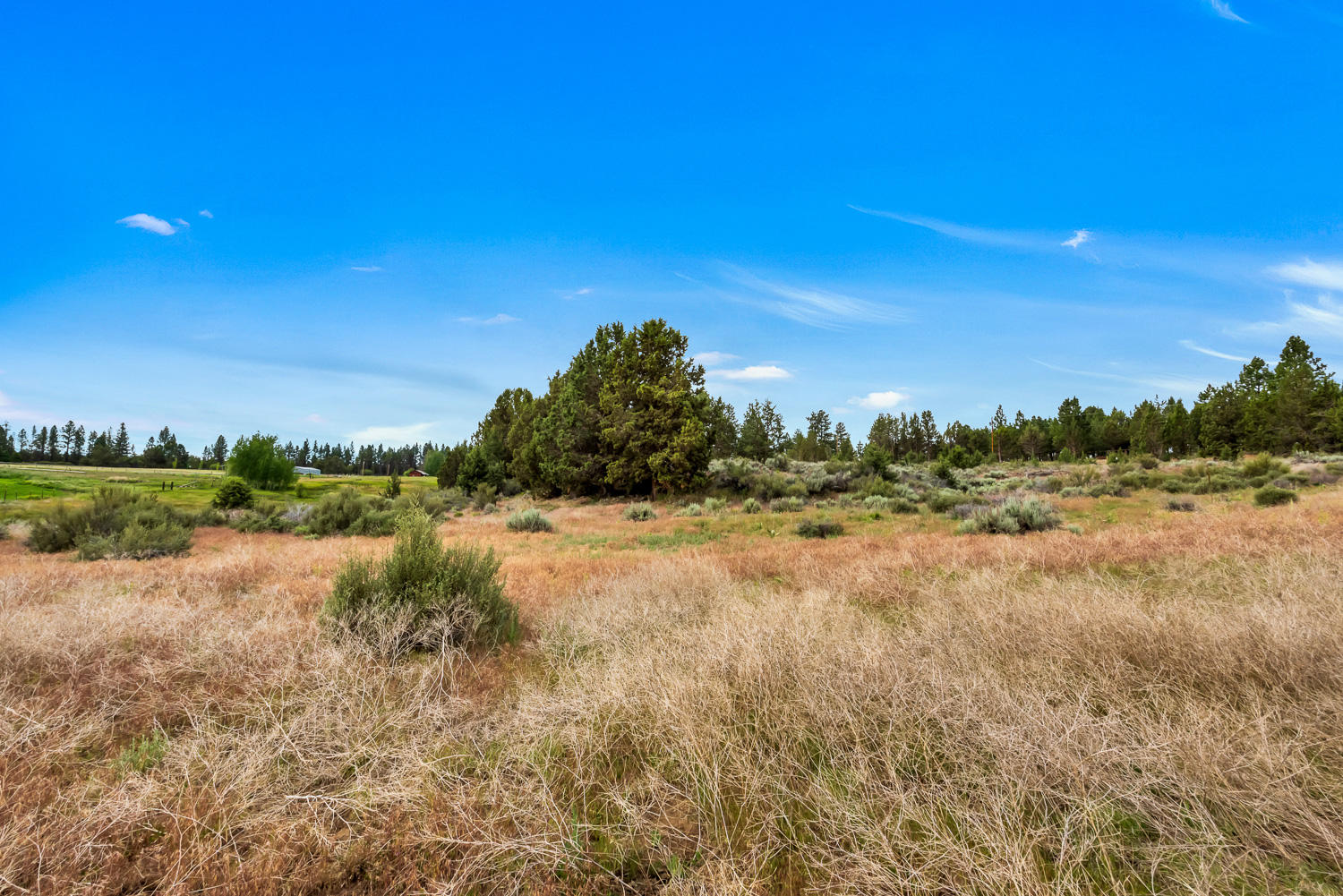 Fawn Run - Residential