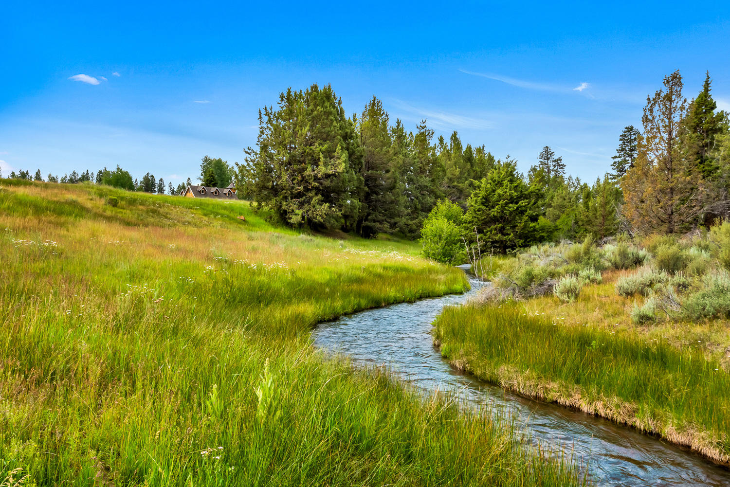 Fawn Run - Residential